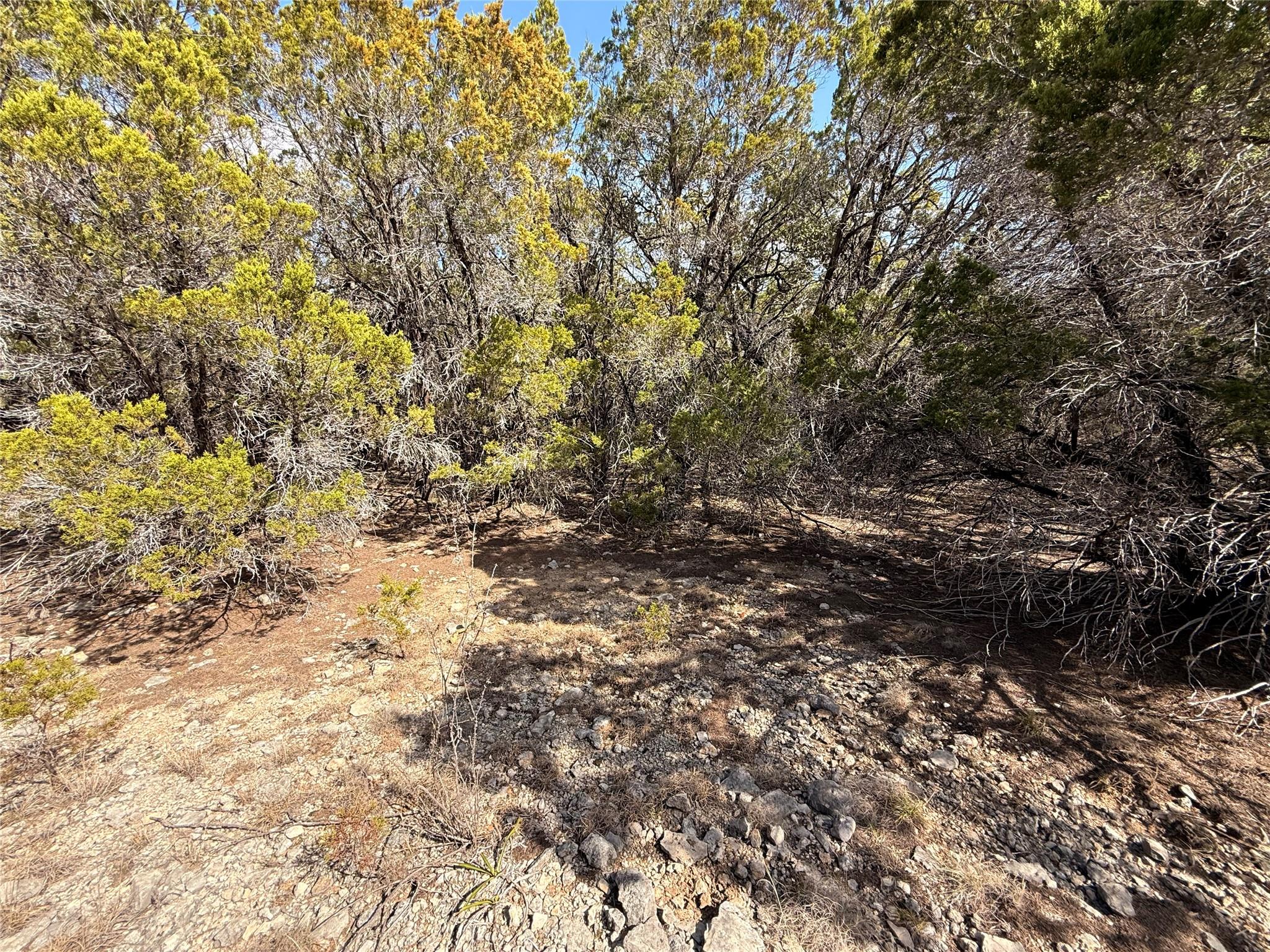 20206 Lee Ln Property Photo 4