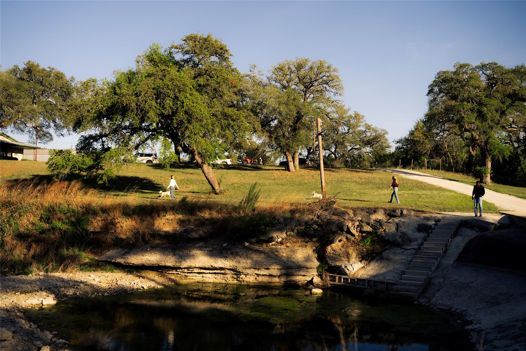 157 Chick Ranch Loop Property Photo 4
