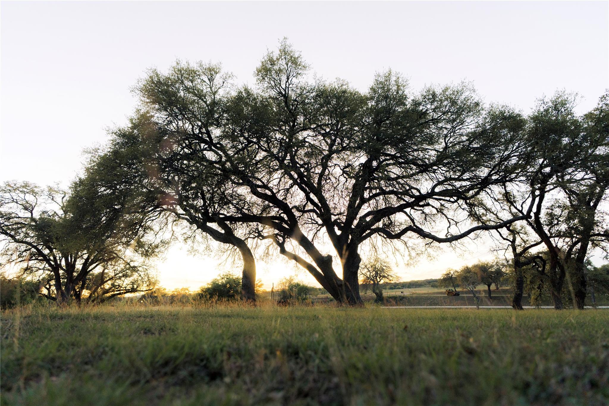 157 Chick Ranch Loop Property Photo 8