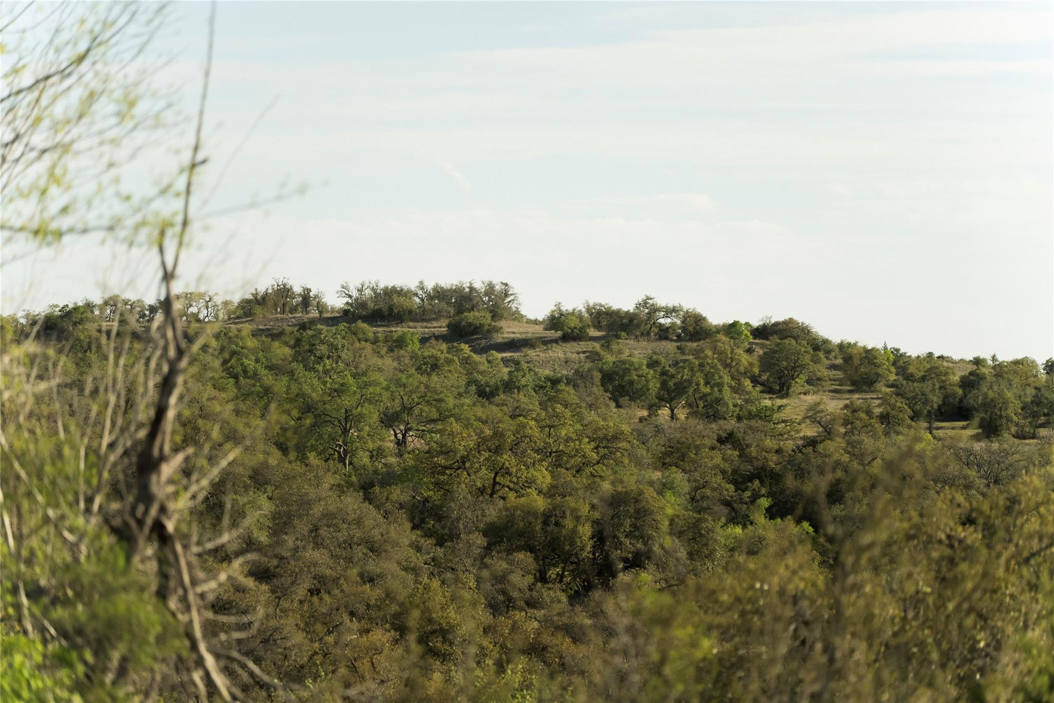 157 Chick Ranch Loop Property Photo 13