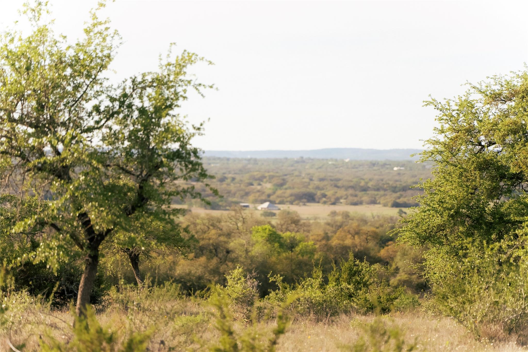 157 Chick Ranch Loop Property Photo 15