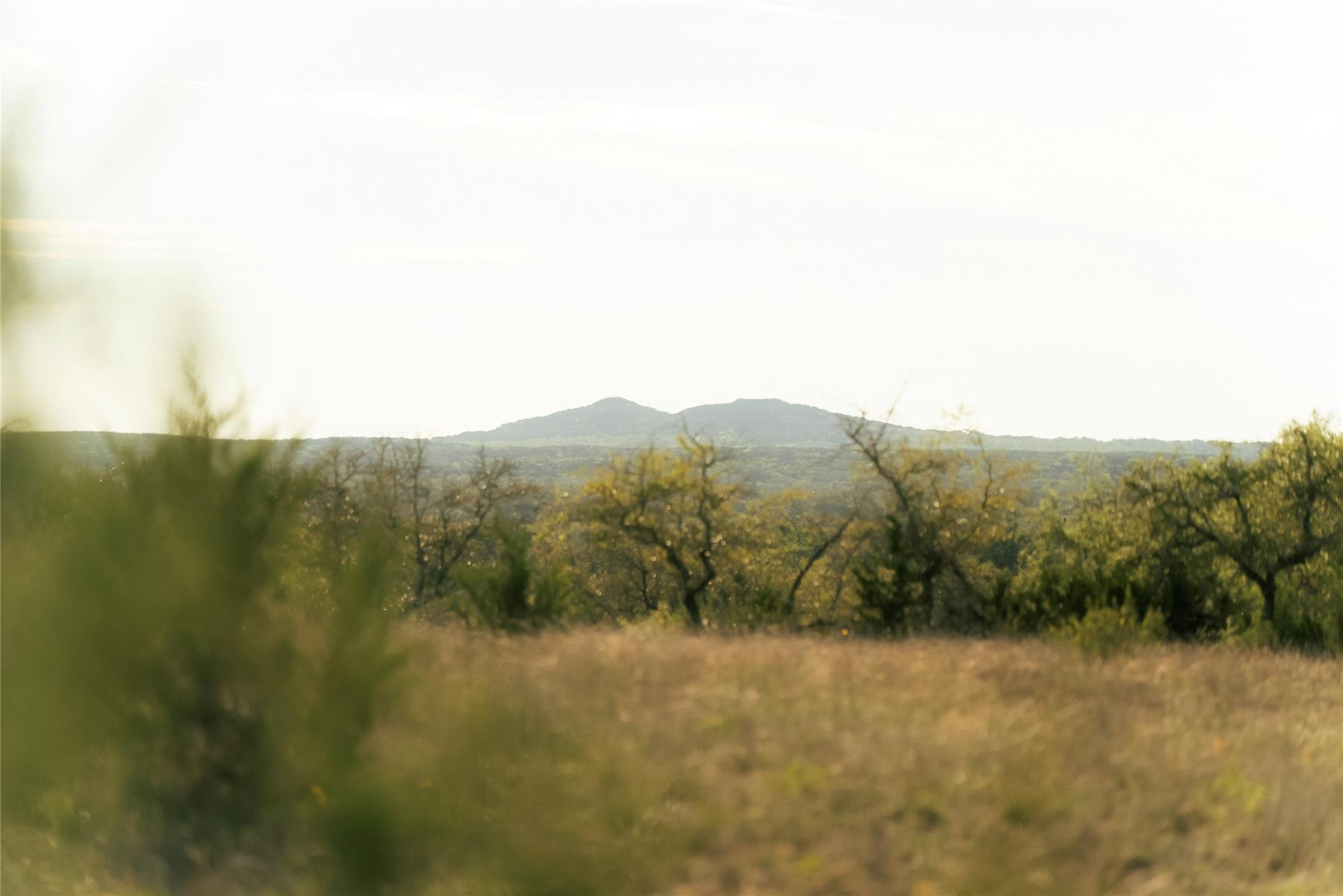 157 Chick Ranch Loop Property Photo 16