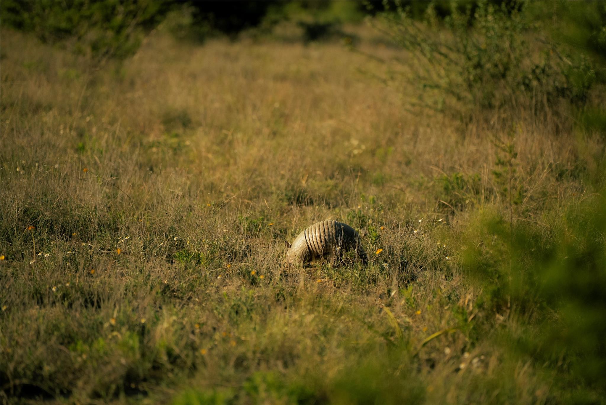 157 Chick Ranch Loop Property Photo 19