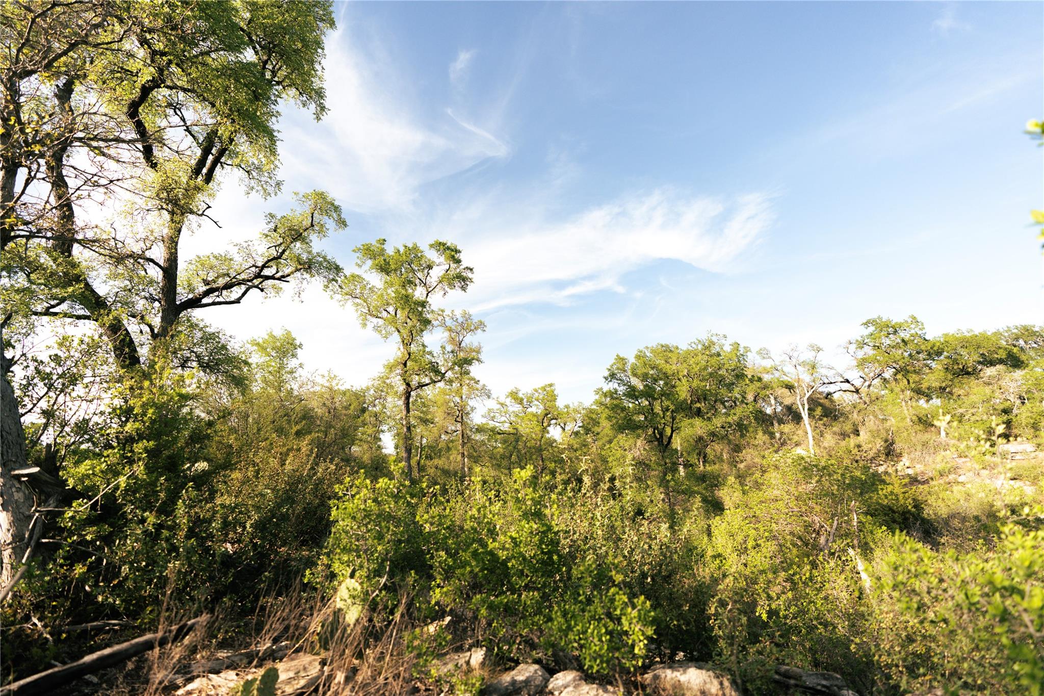 157 Chick Ranch Loop Property Photo 21