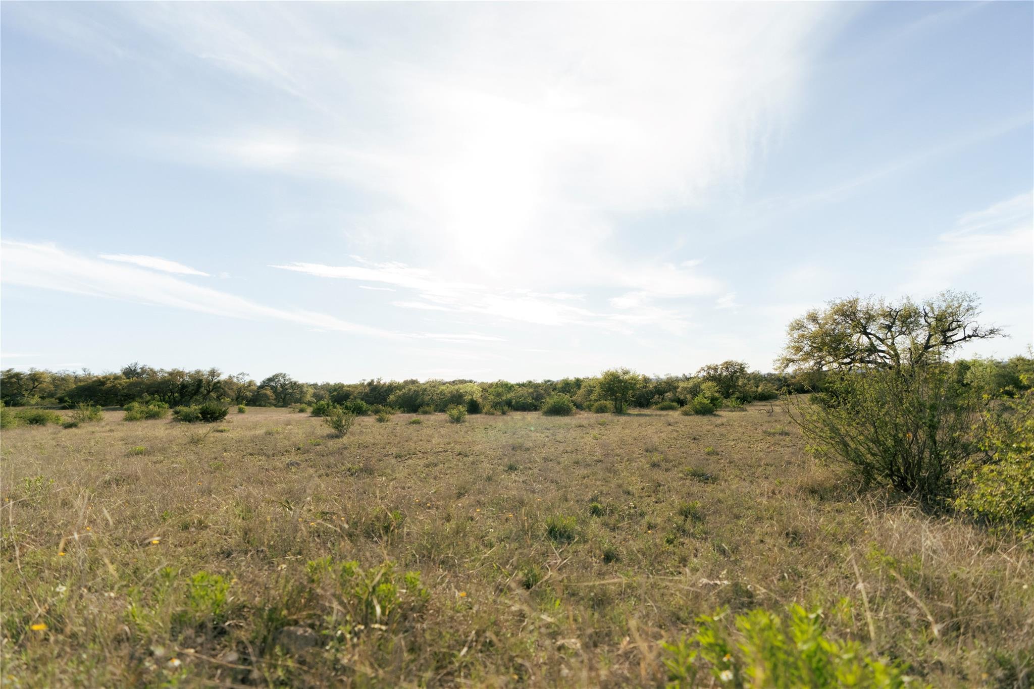 157 Chick Ranch Loop Property Photo 23