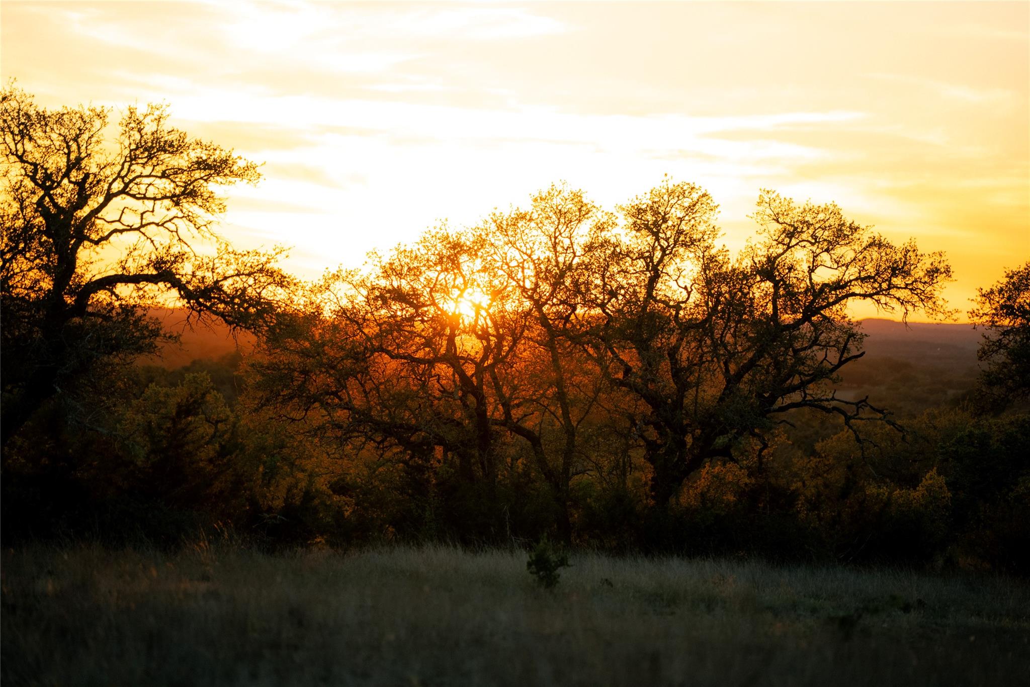 157 Chick Ranch Loop Property Photo 34