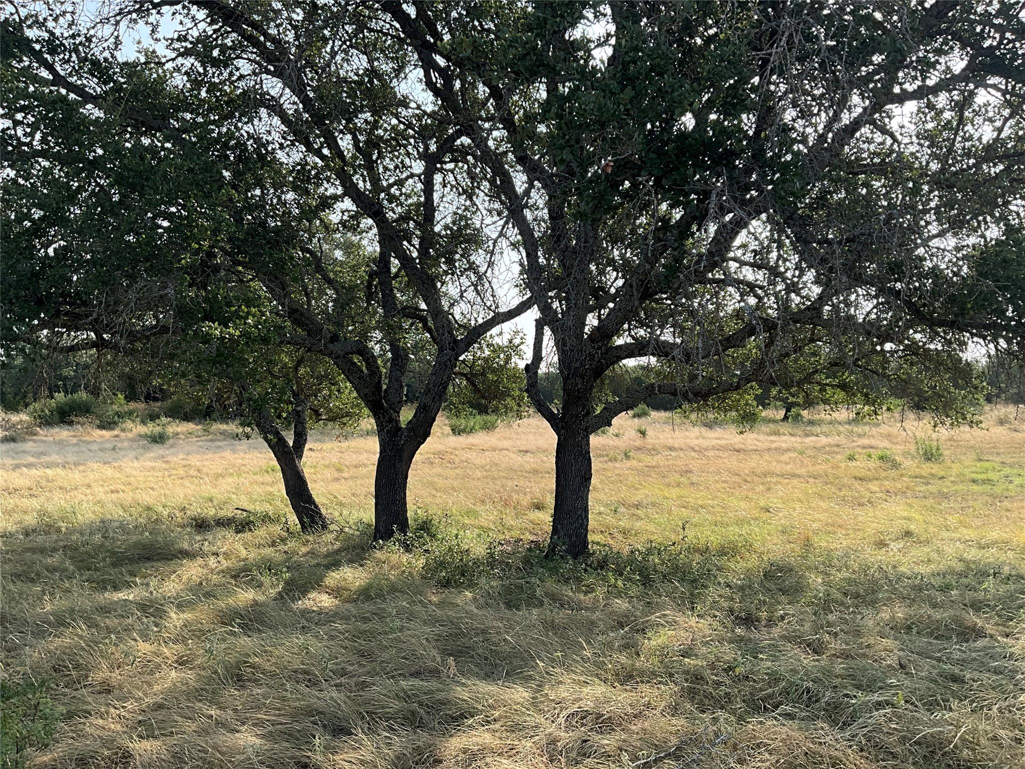 3602795 Property Photo 2