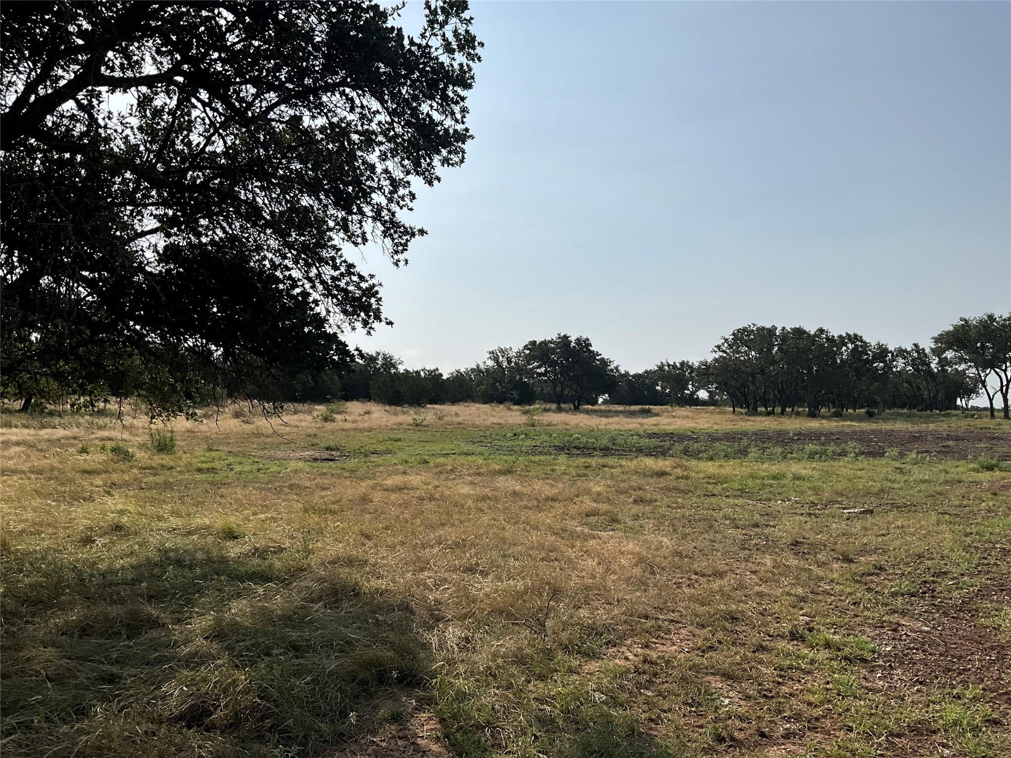 3602795 Property Photo 3