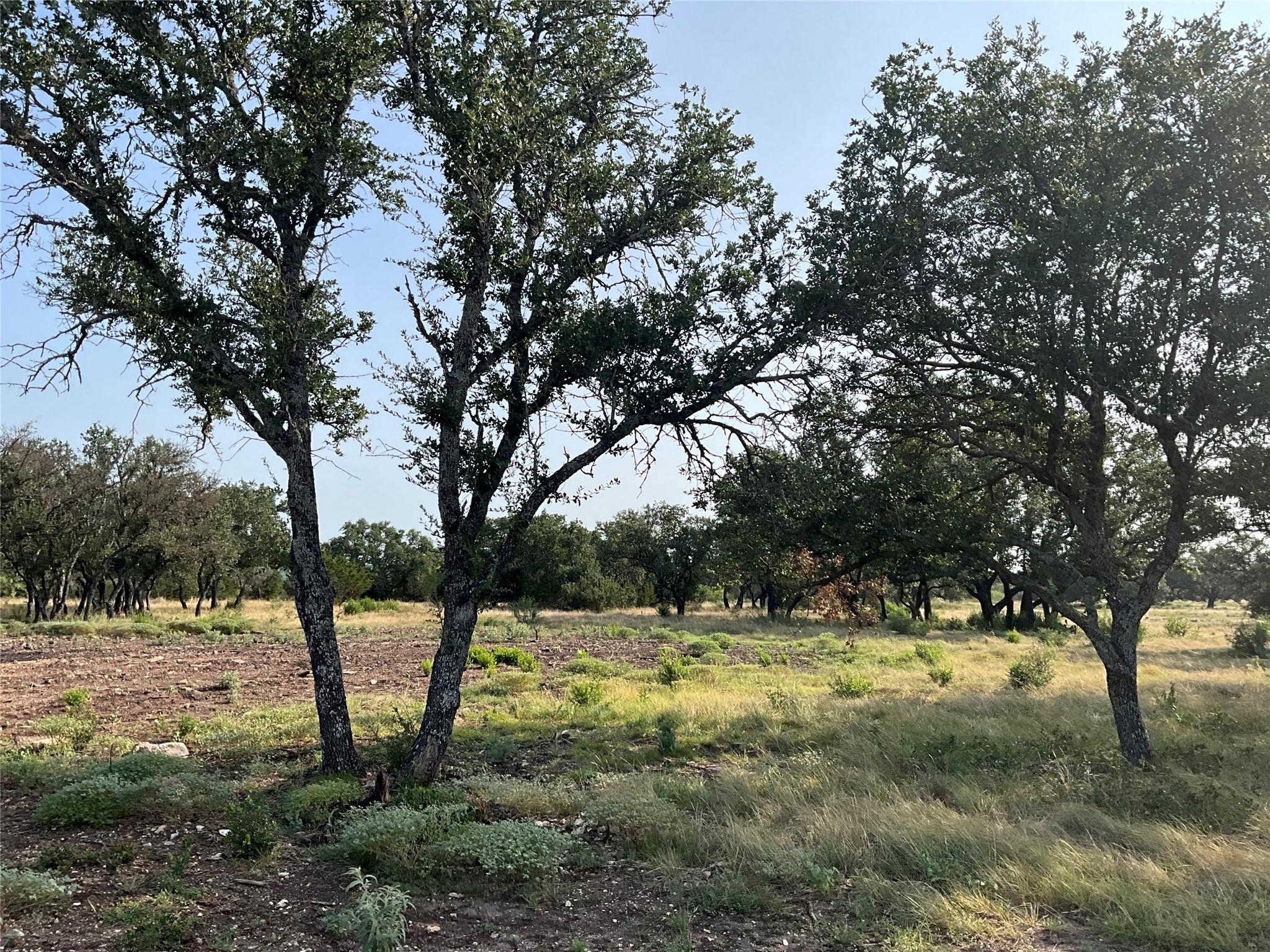 3602795 Property Photo 4