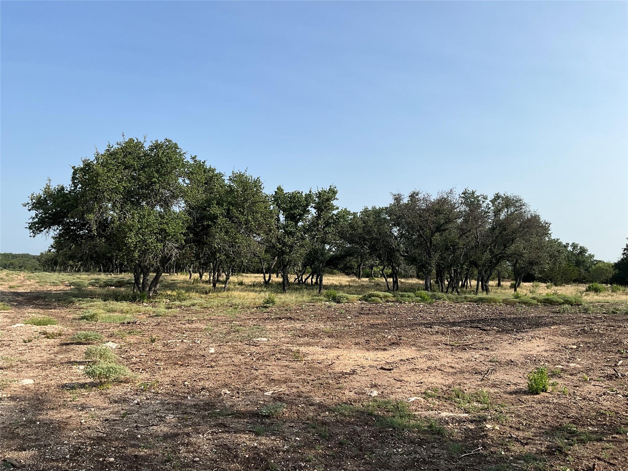 3602795 Property Photo 5