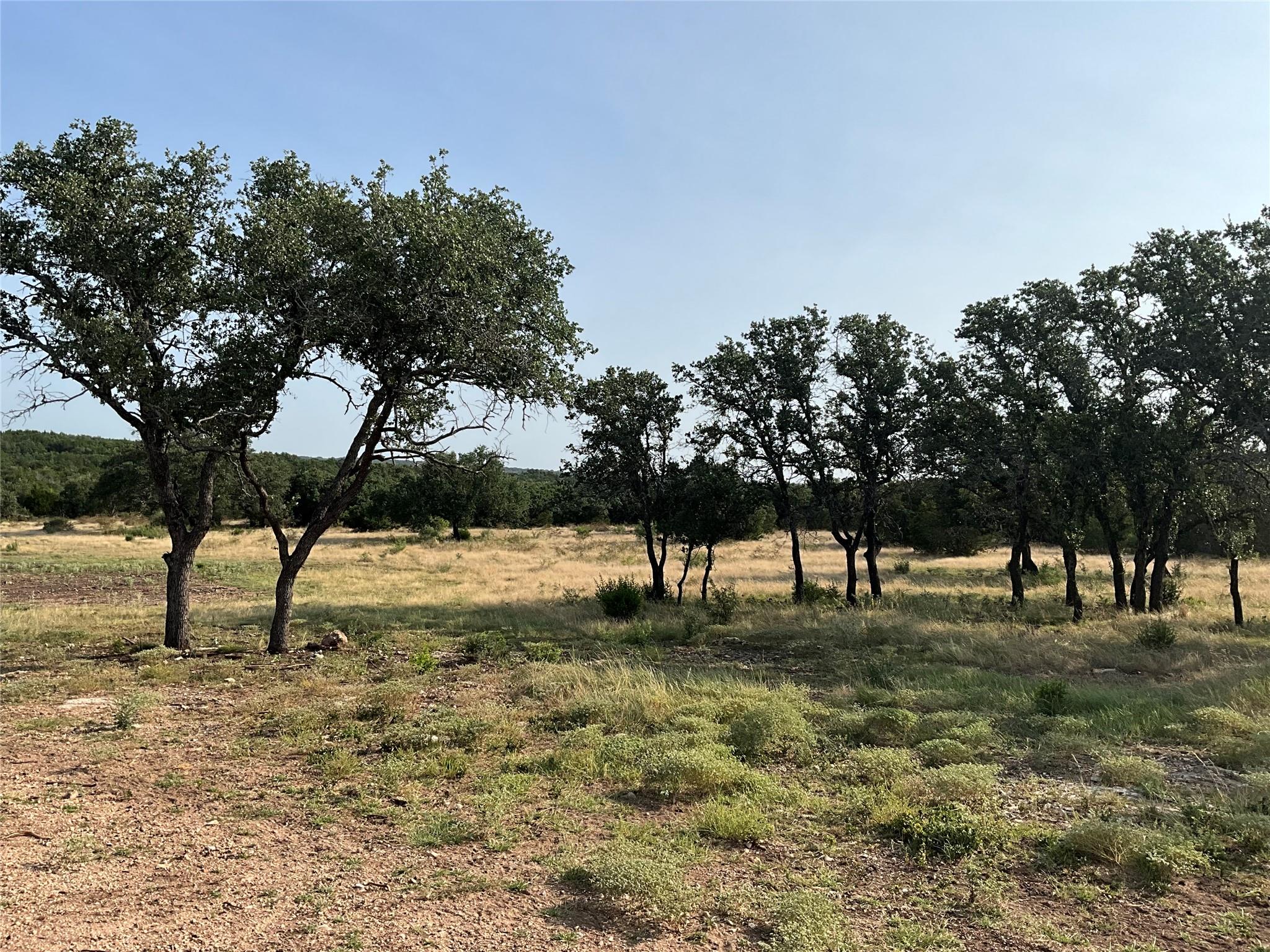 3602795 Property Photo 6