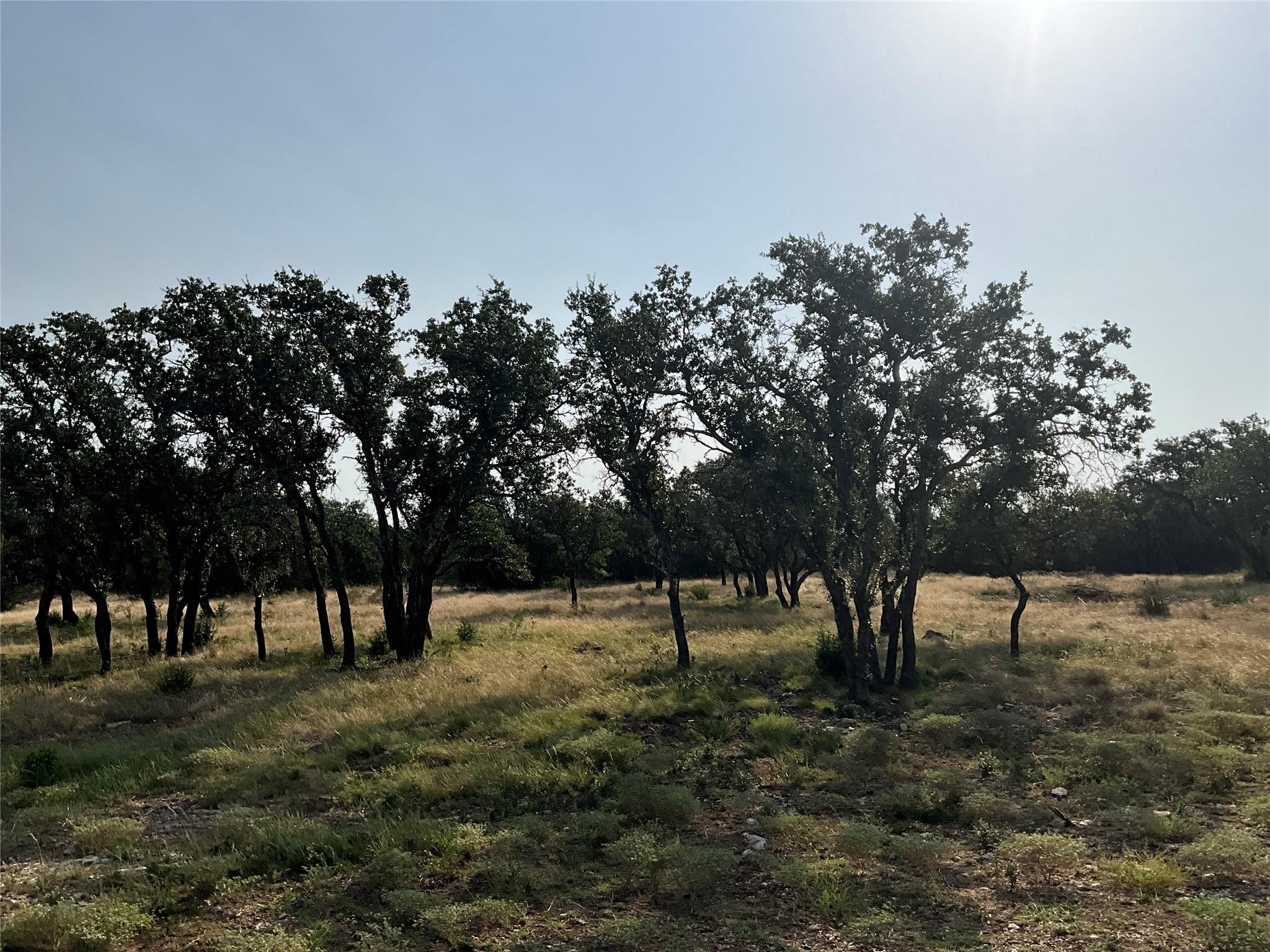 3602795 Property Photo 7