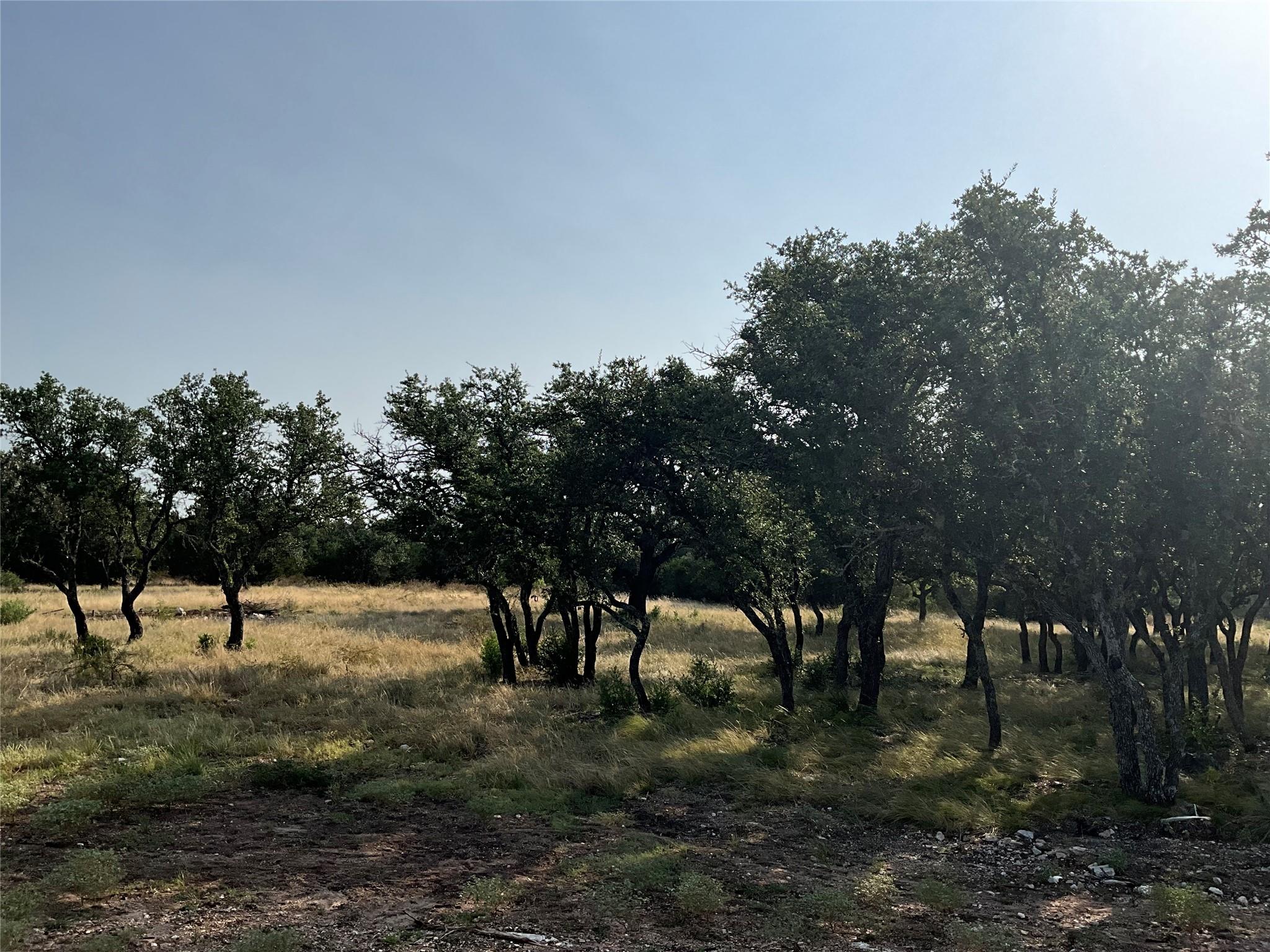 3602795 Property Photo 8