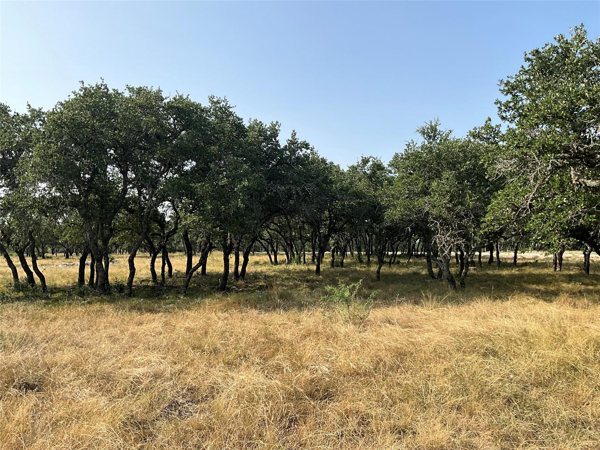3602795 Property Photo 11