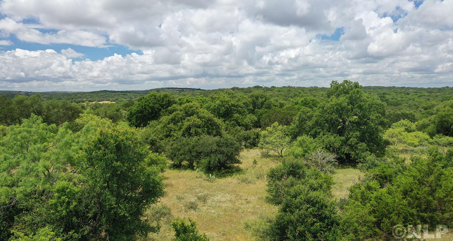 3602795 Property Photo 17