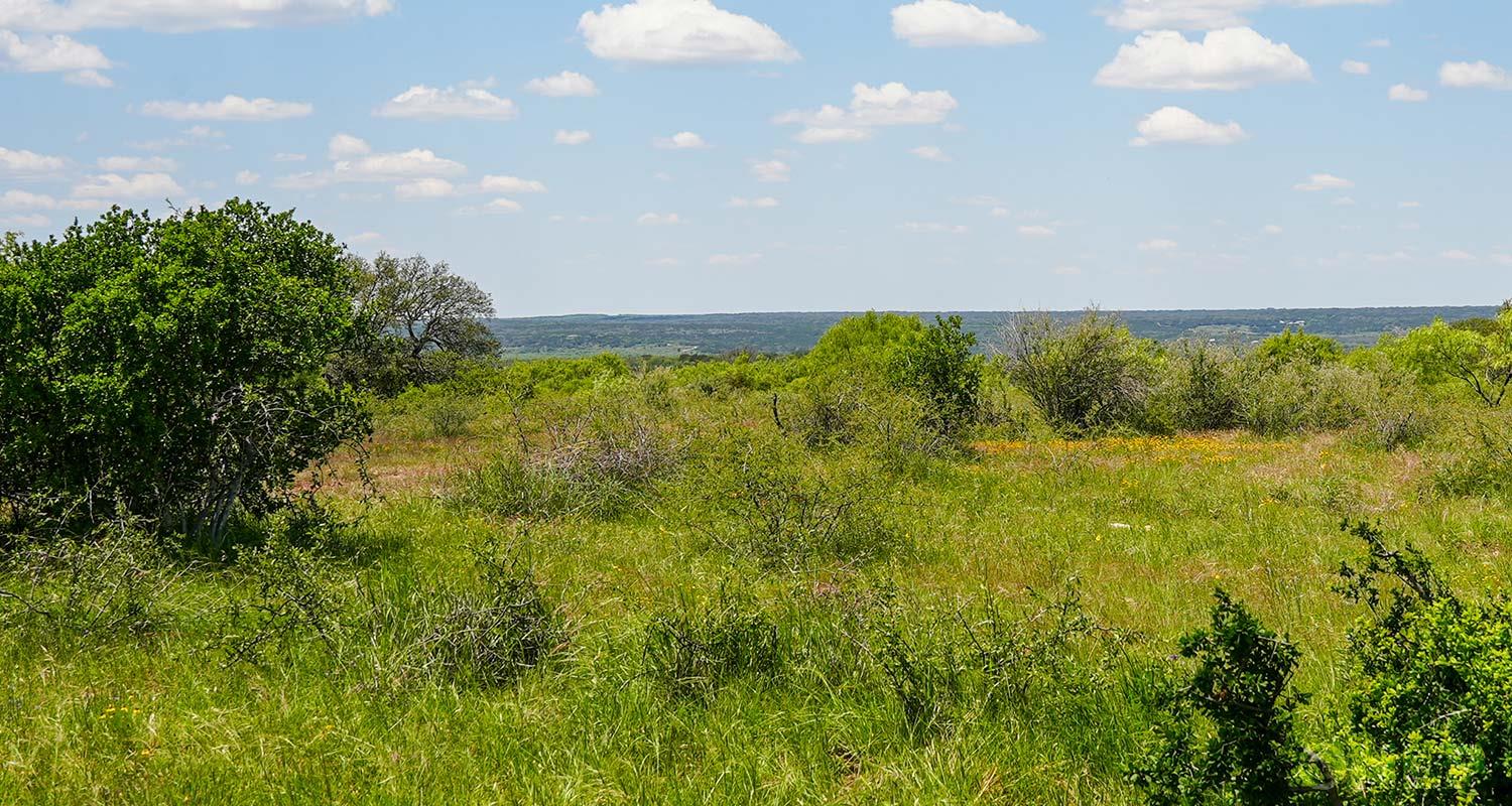 3602795 Property Photo 18