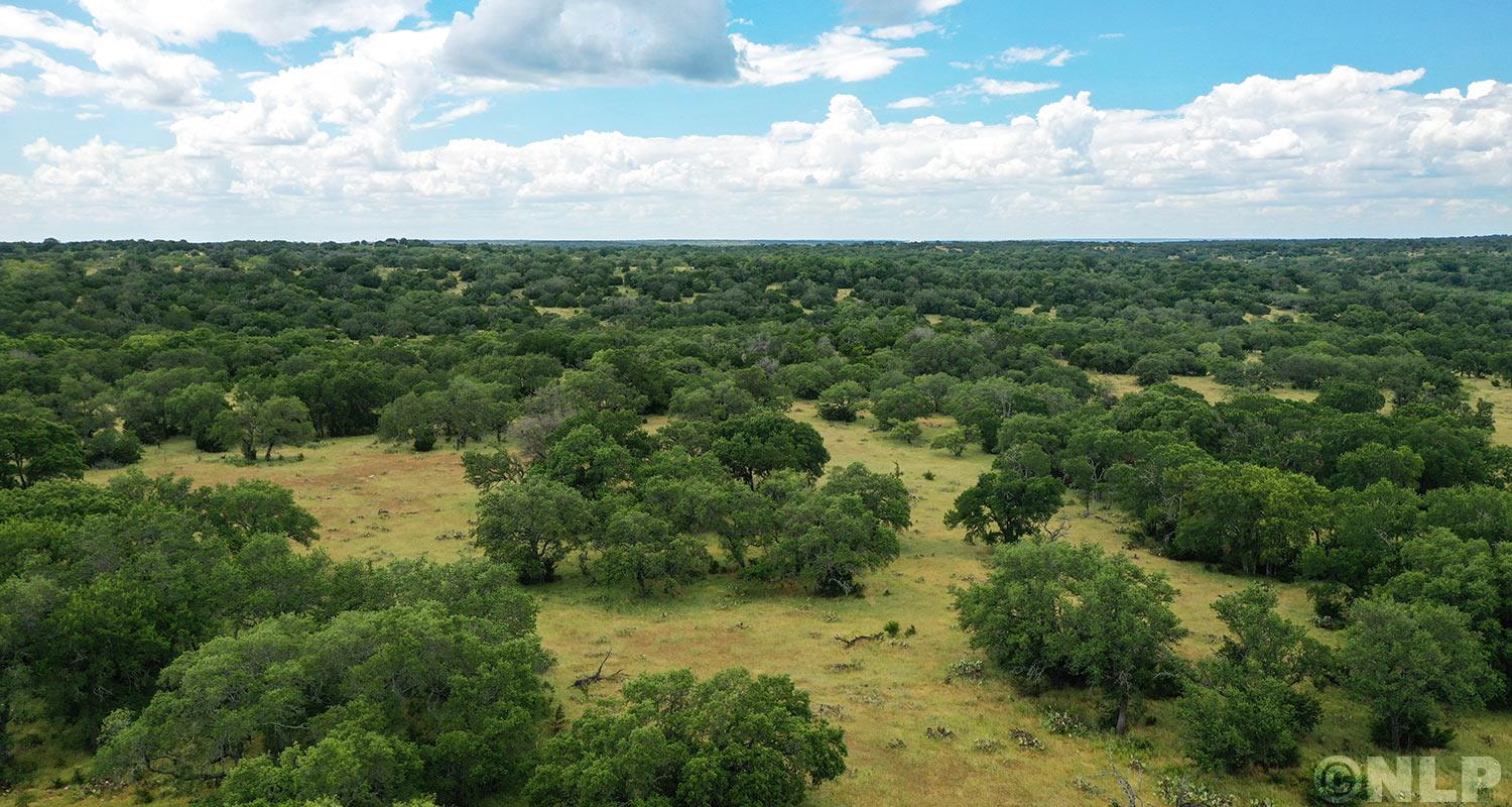 3602795 Property Photo 19