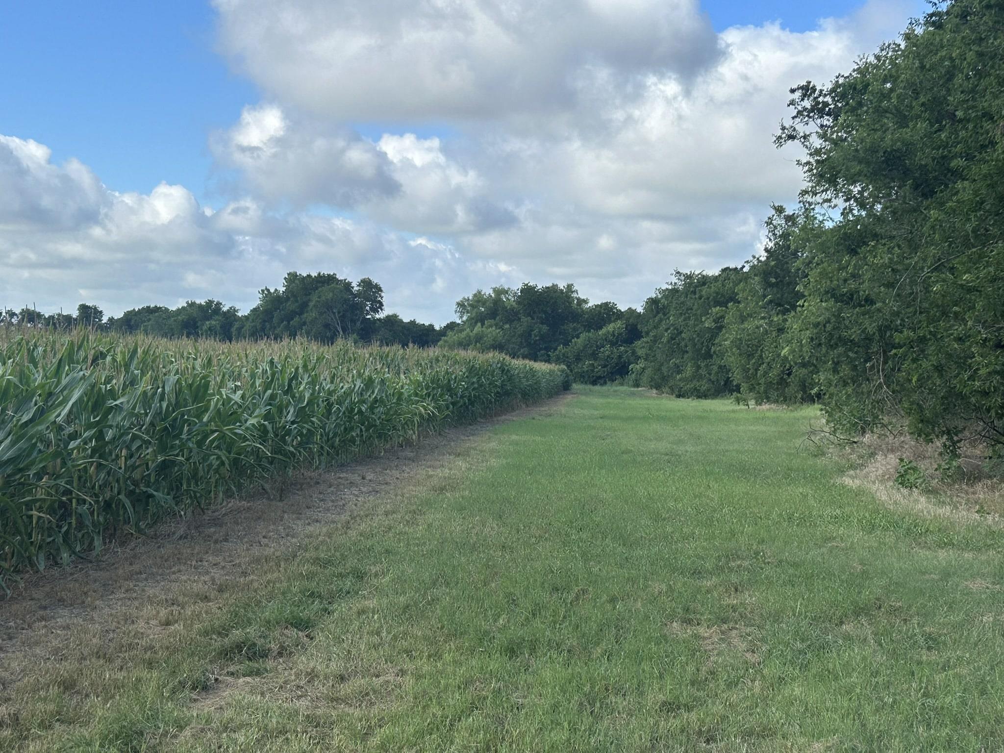 Tbd Apple Cider Rd Property Photo 4