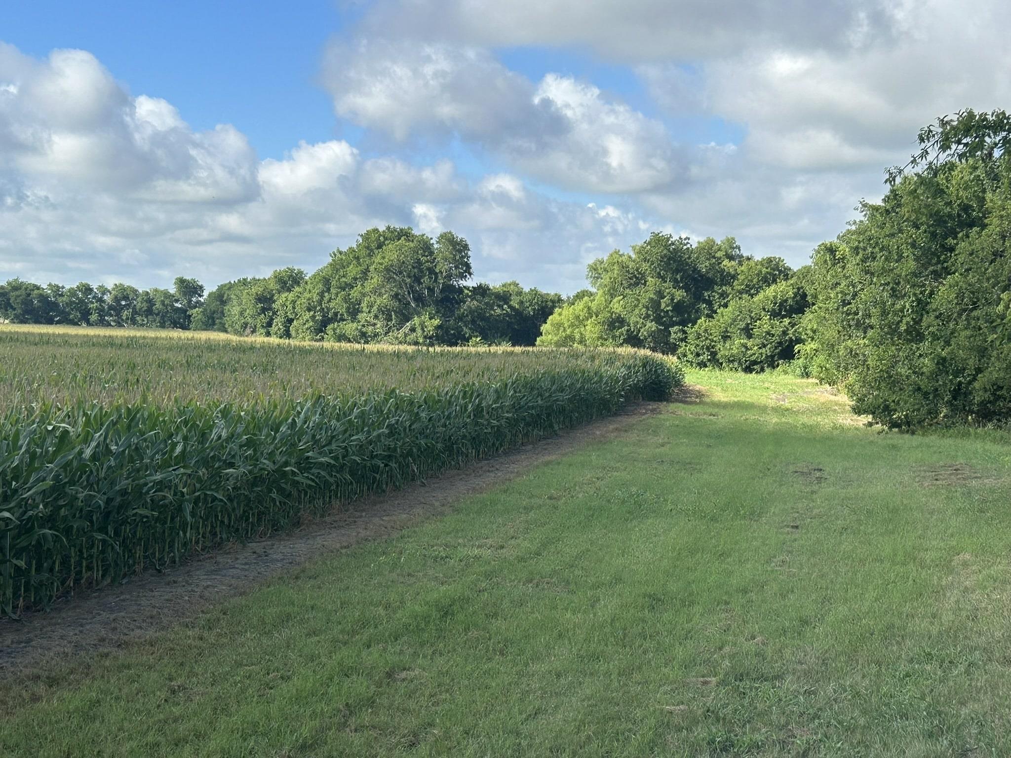 Tbd Apple Cider Rd Property Photo 18