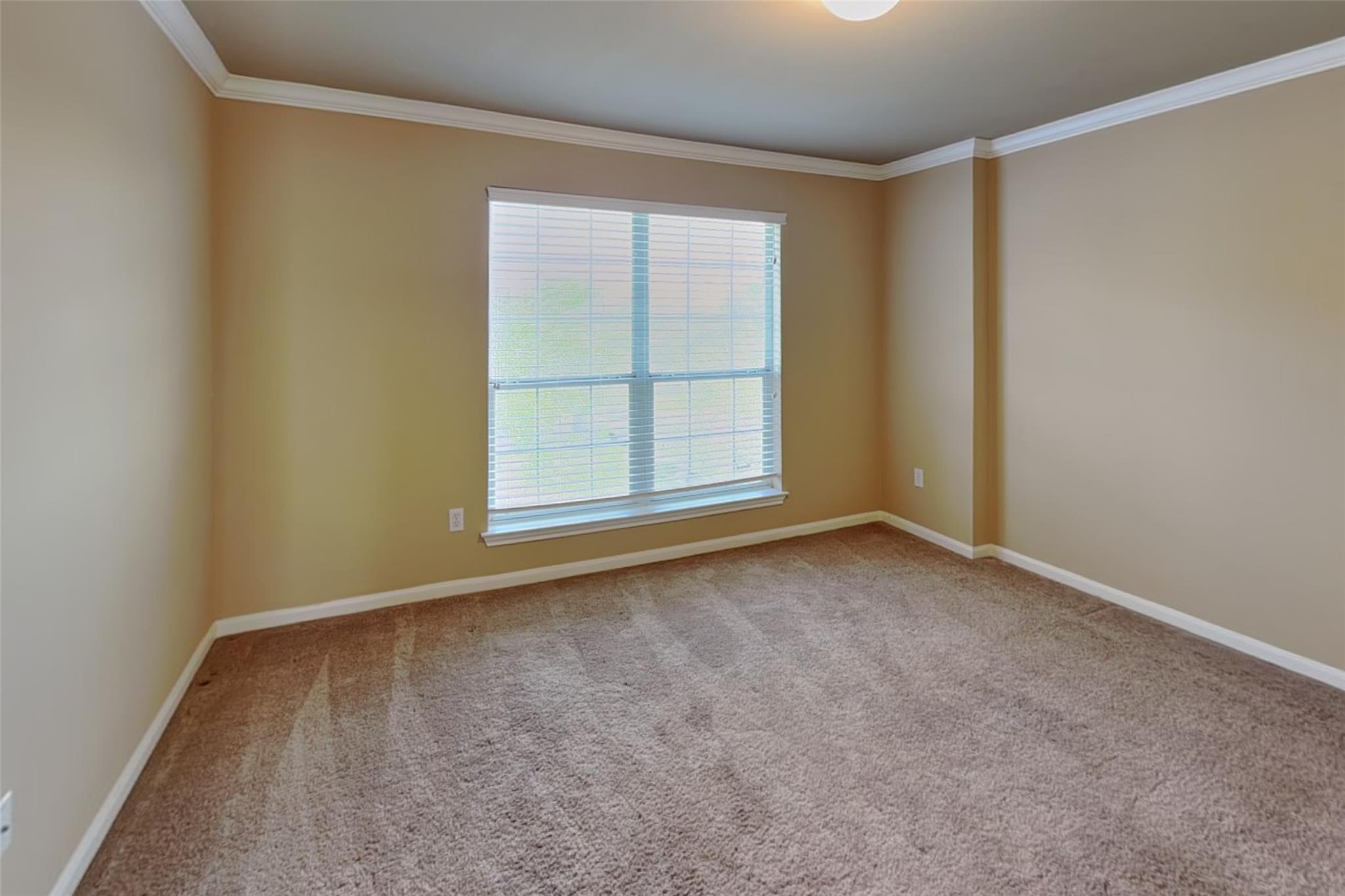 5301 Cypress Ranch Blvd Property Photo 19