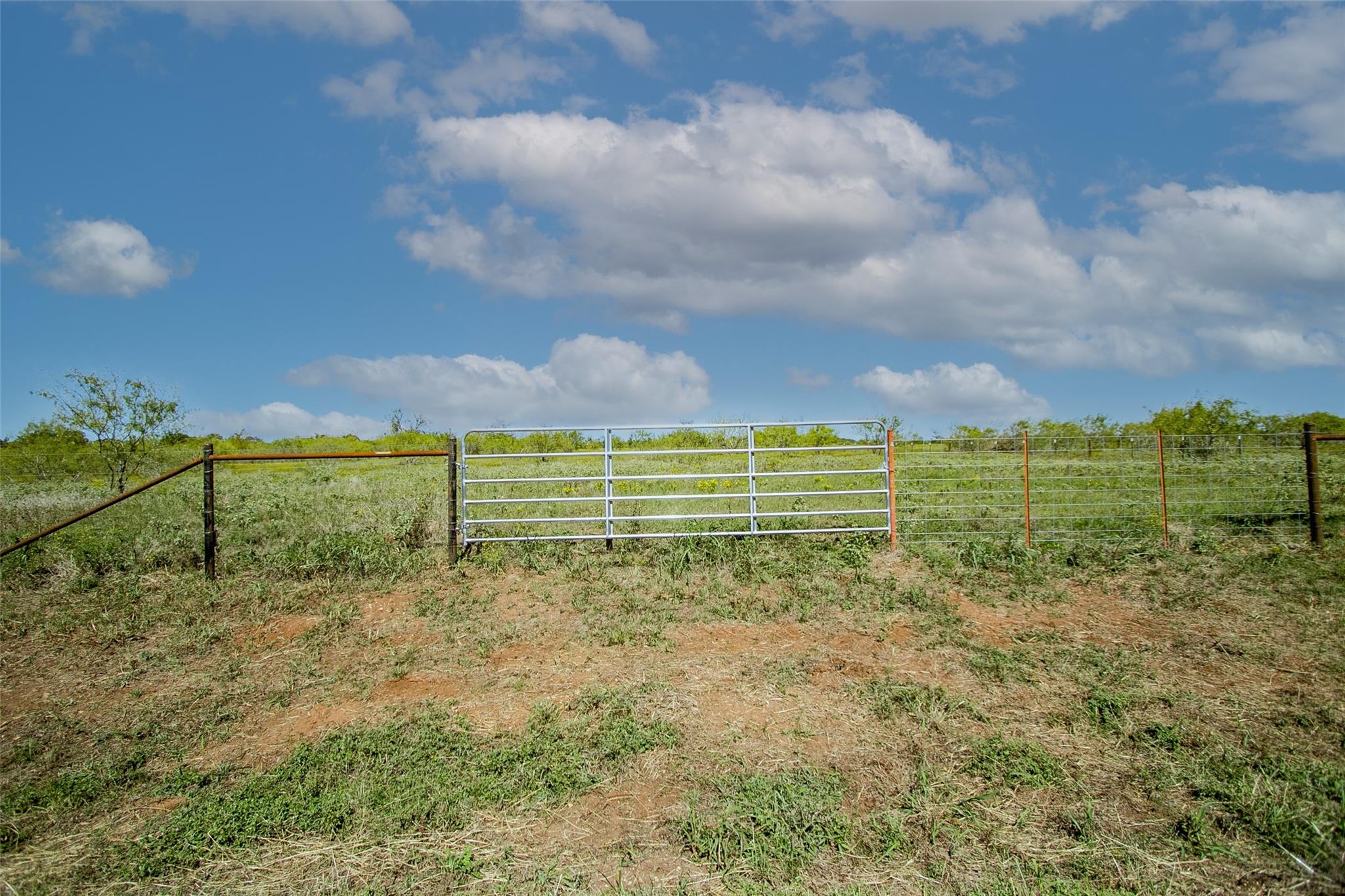 Tract 3 County Road 328 Property Photo 4