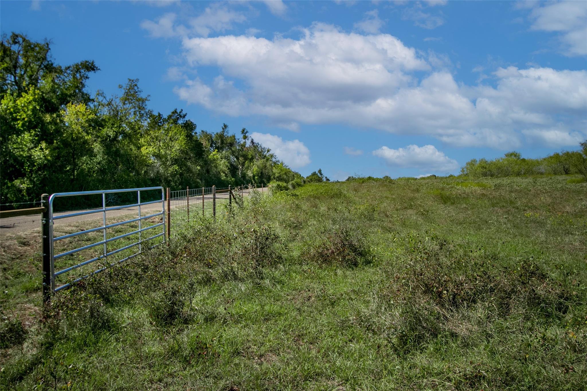 Tract 3 County Road 328 Property Photo 6