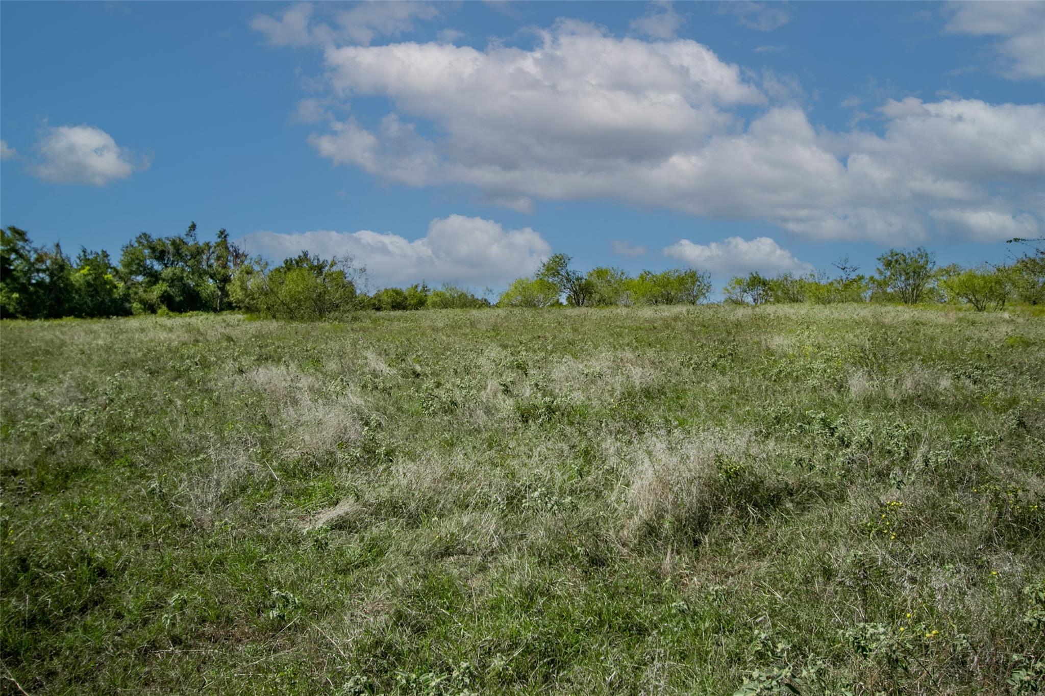 Tract 3 County Road 328 Property Photo 8