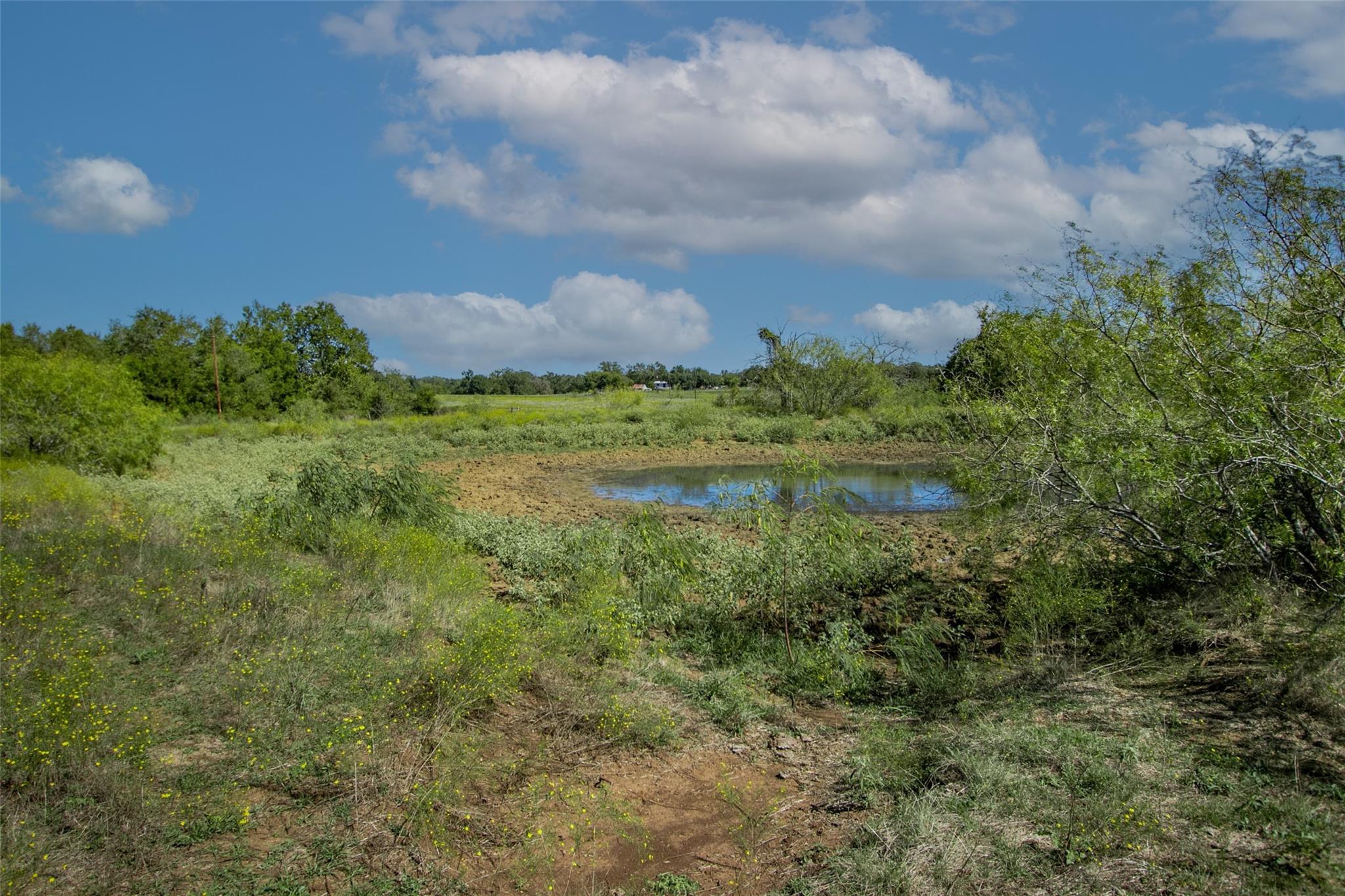 Tract 3 County Road 328 Property Photo 11