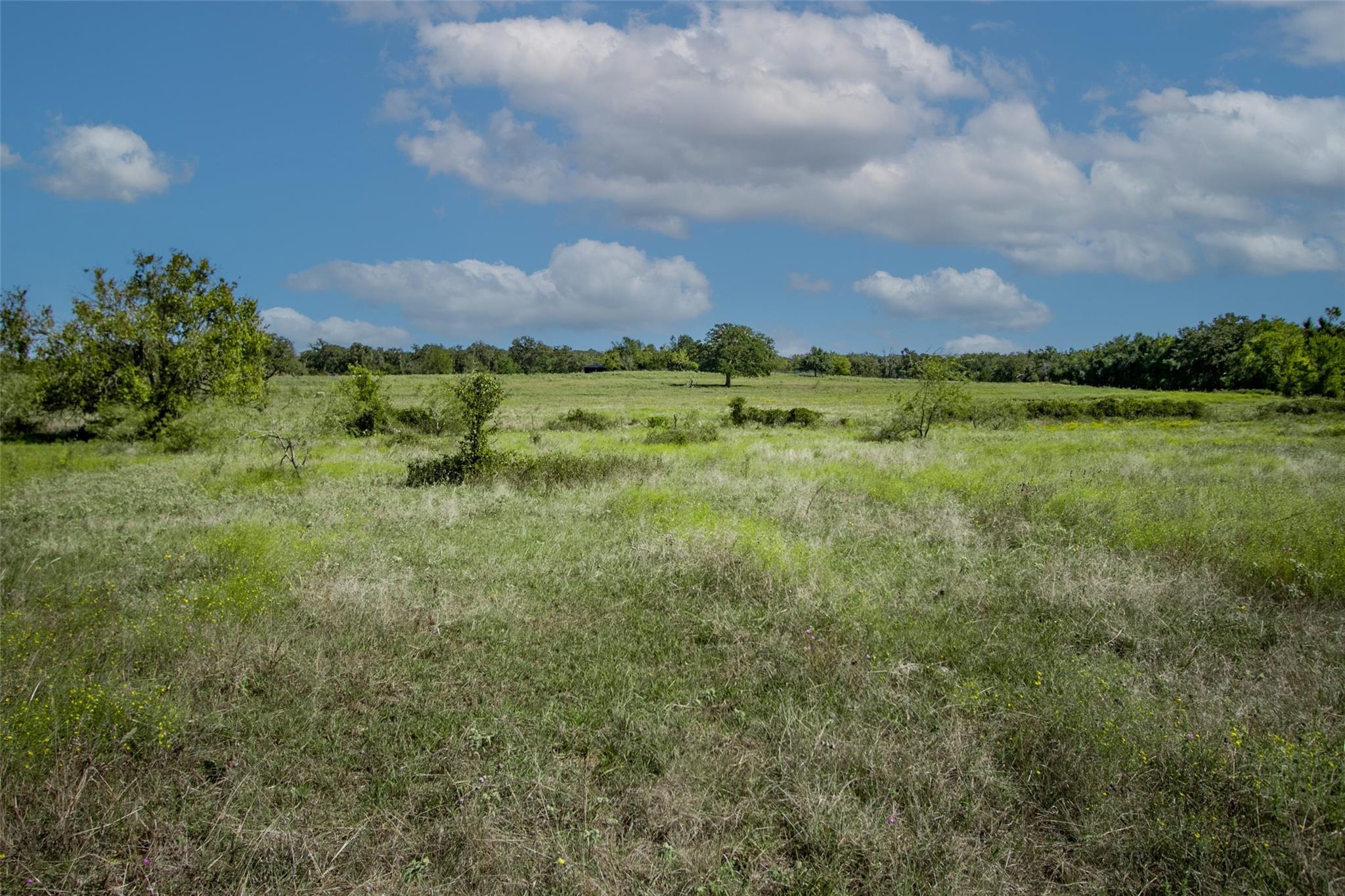 Tract 3 County Road 328 Property Photo 18