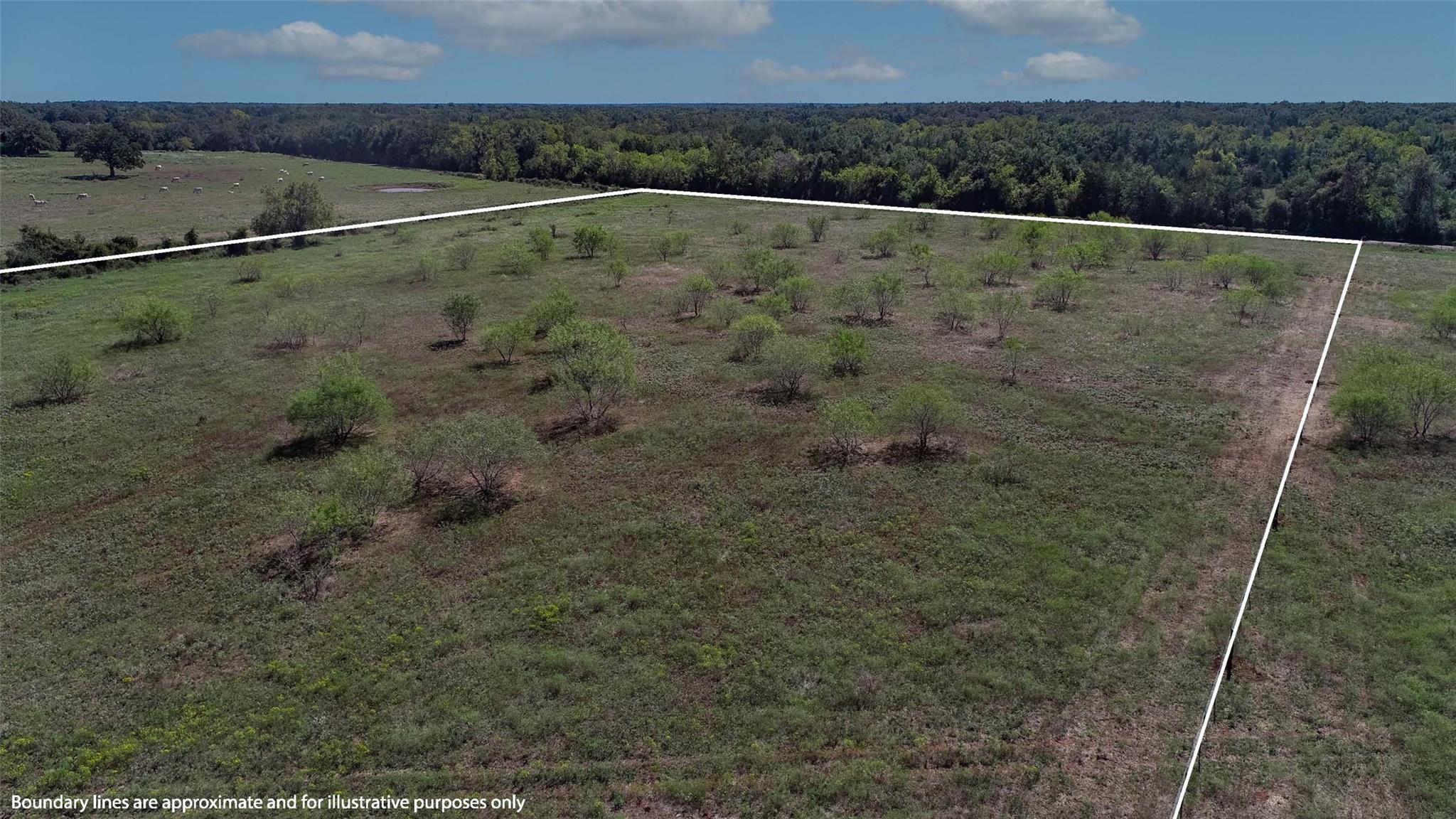 Tract 3 County Road 328 Property Photo 21