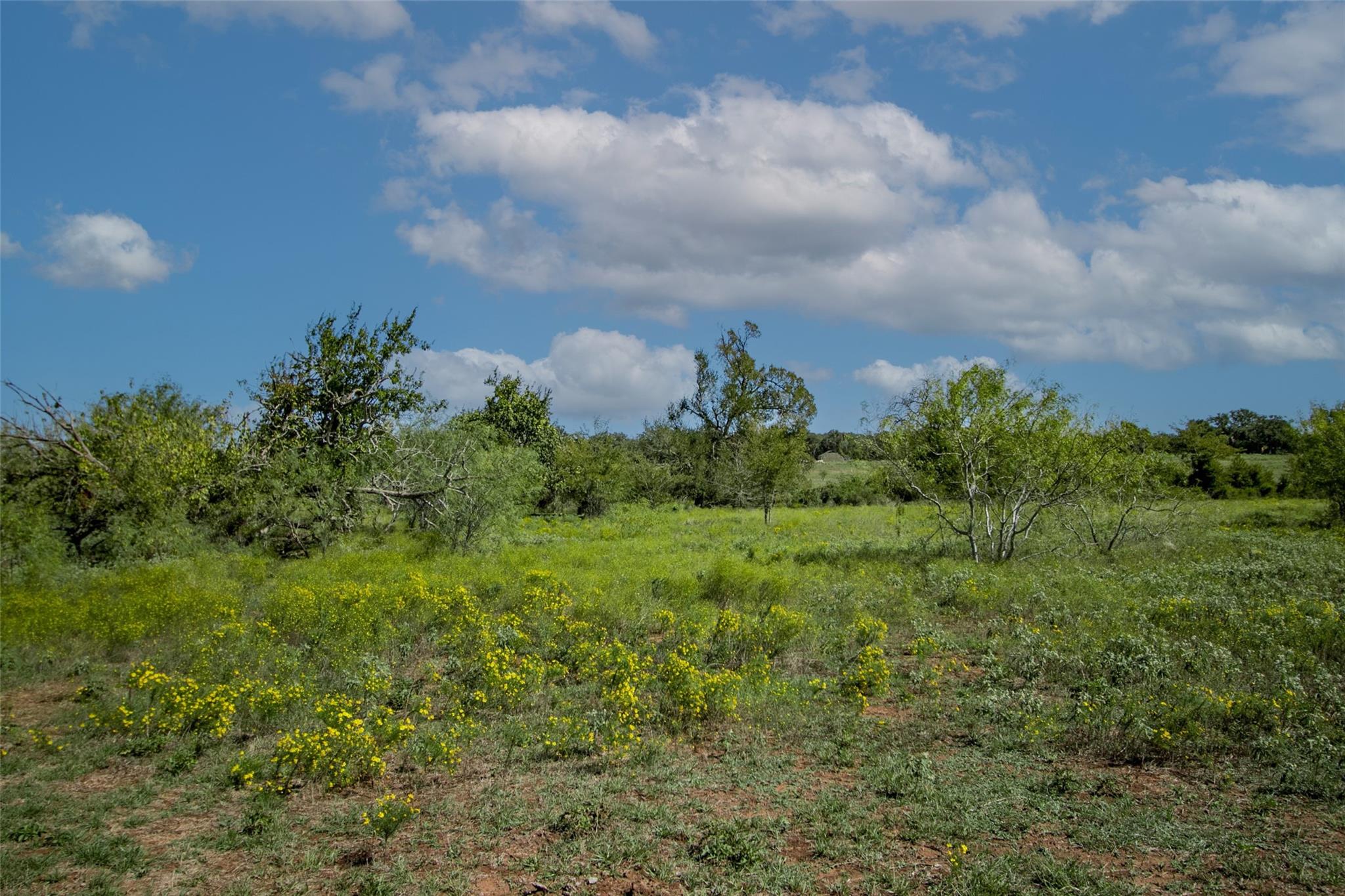Tract 3 County Road 328 Property Photo 24