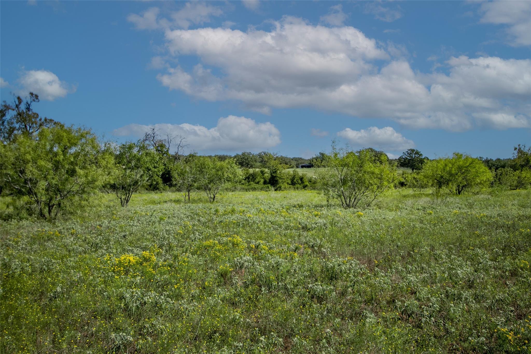 Tract 3 County Road 328 Property Photo 26
