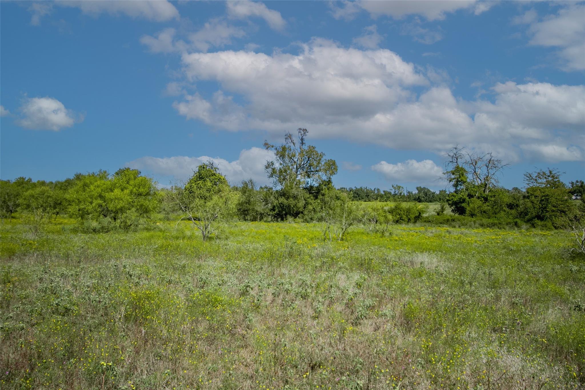 Tract 3 County Road 328 Property Photo 27