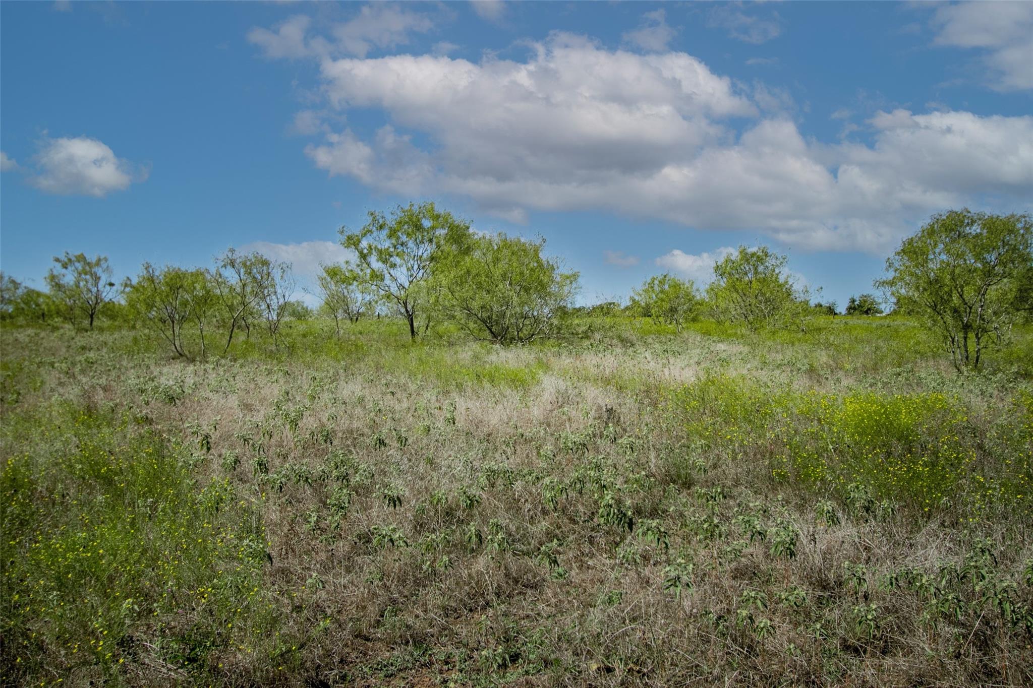 Tract 3 County Road 328 Property Photo 28