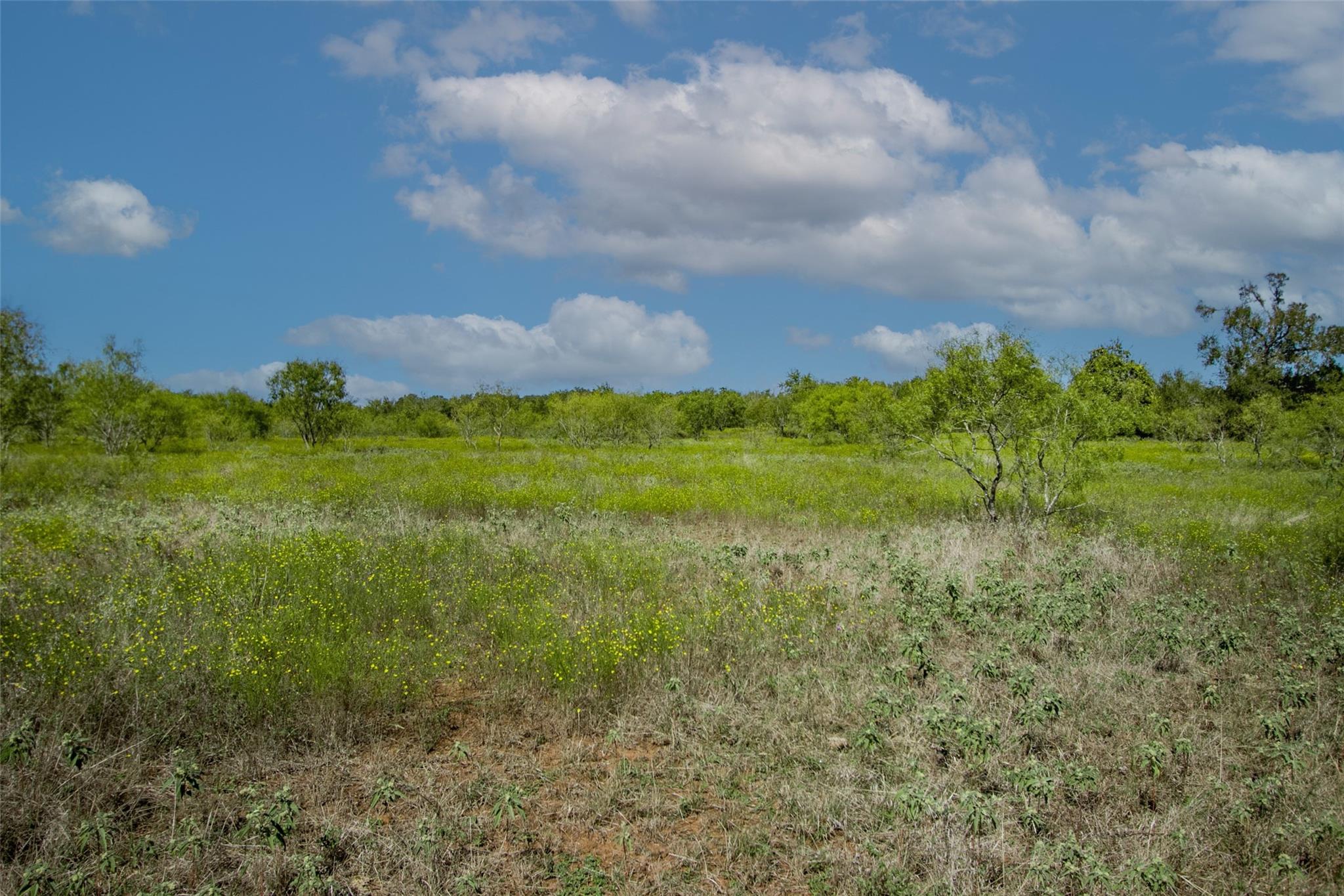 Tract 3 County Road 328 Property Photo 29