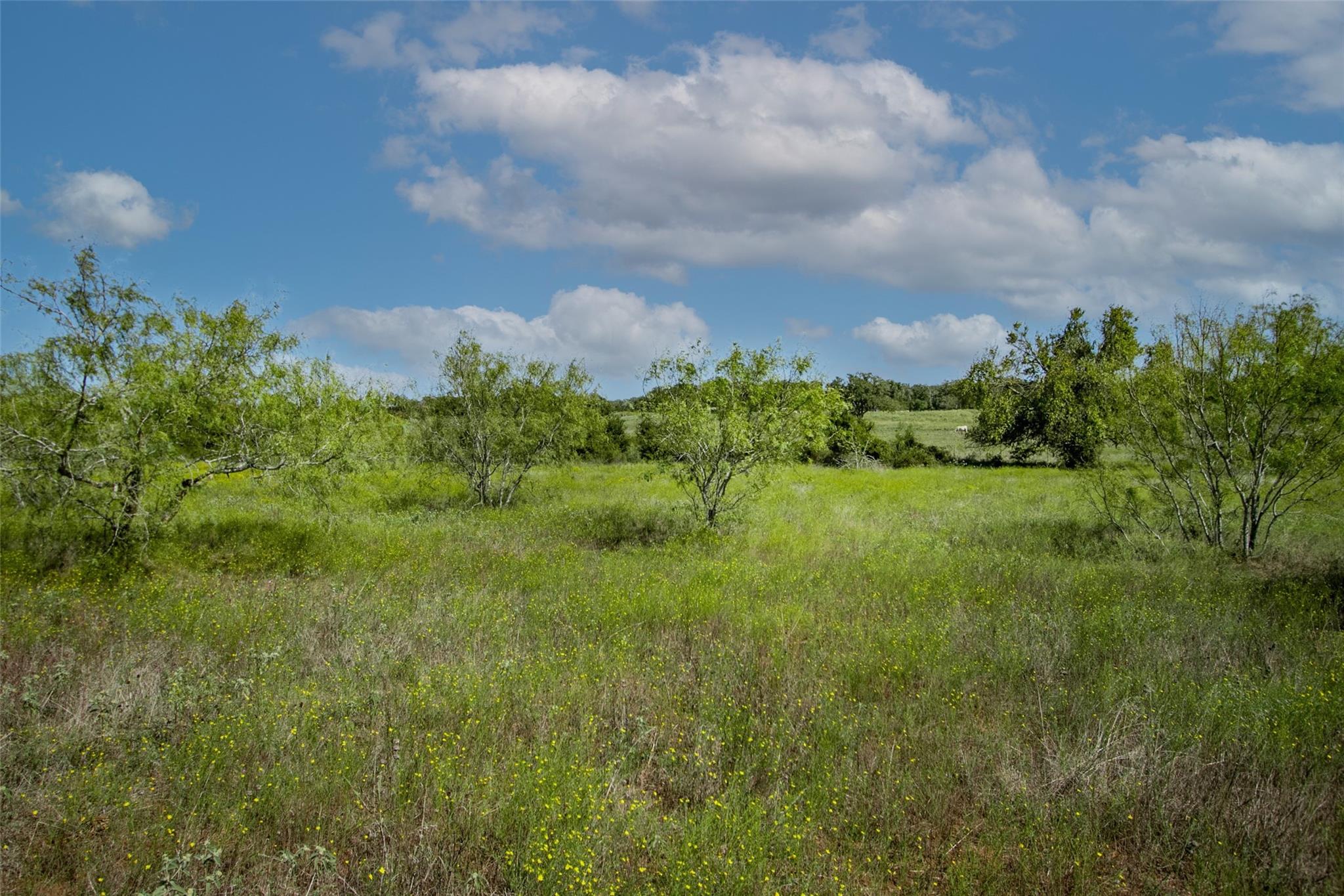 Tract 3 County Road 328 Property Photo 30