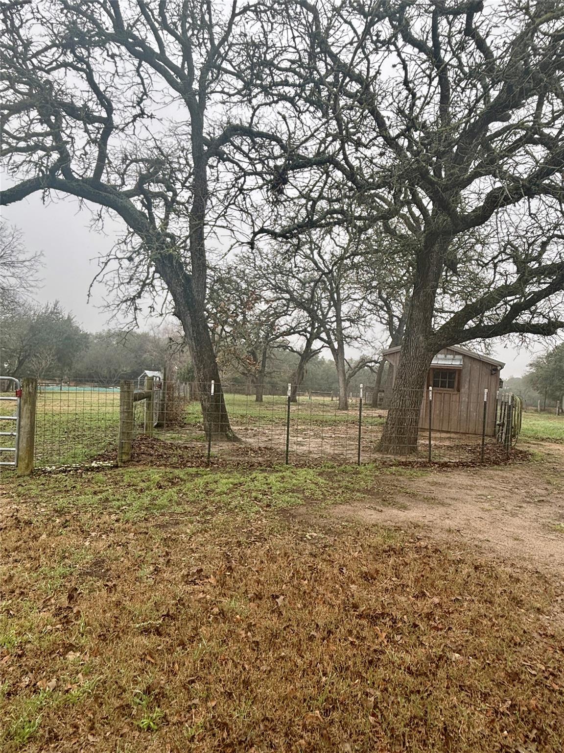 230 Hausmann Gin Property Photo 34