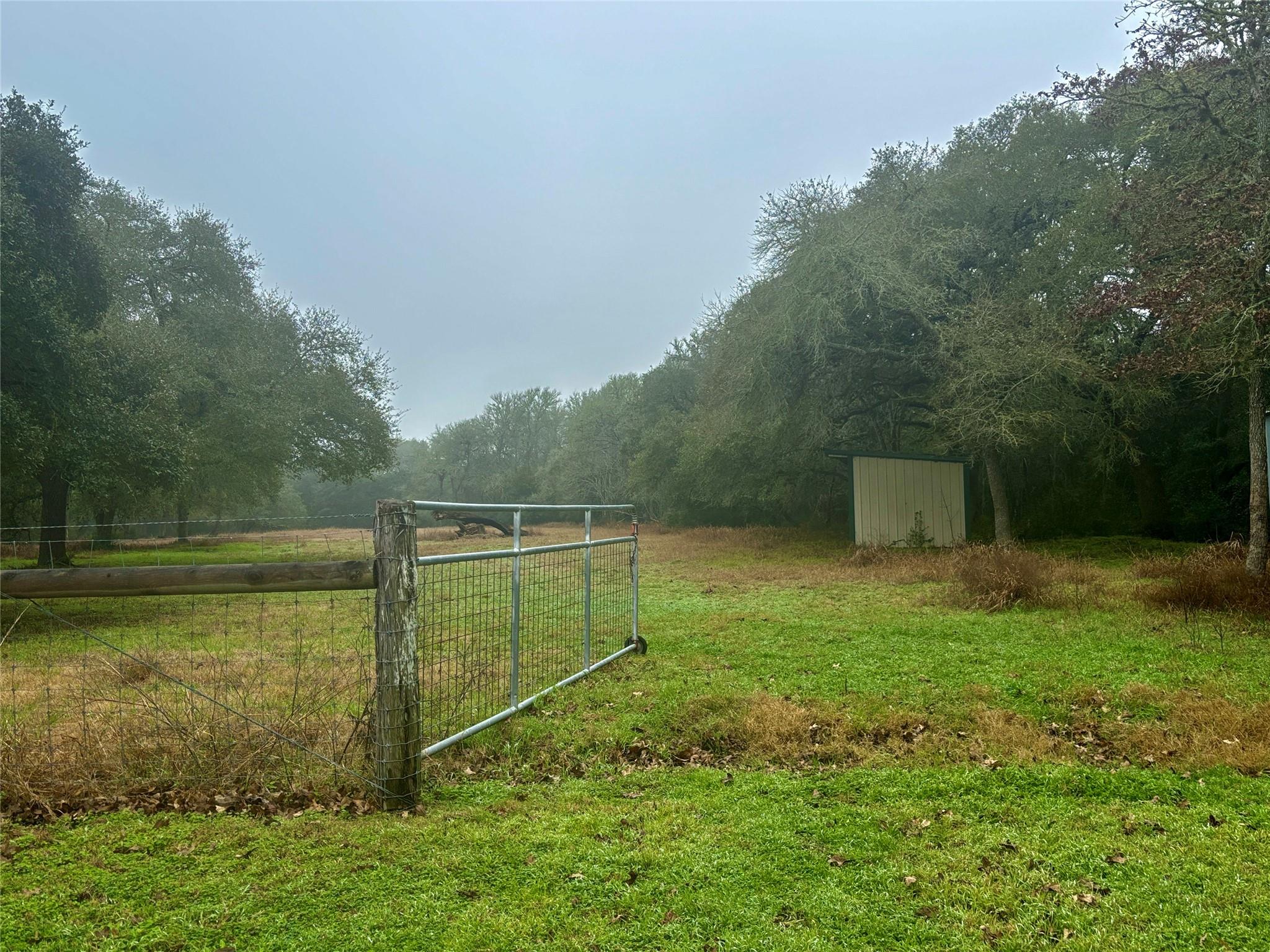 230 Hausmann Gin Property Photo 35