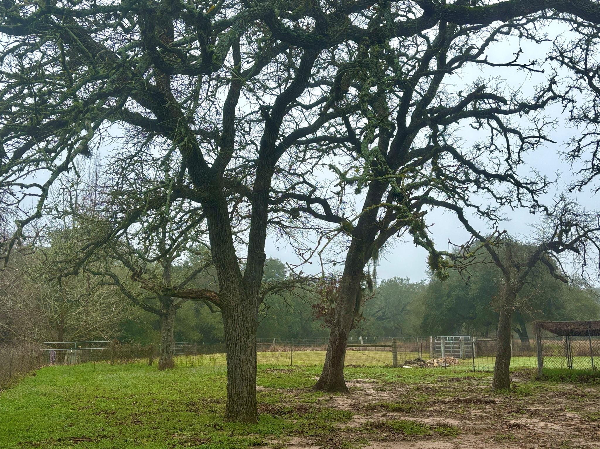 230 Hausmann Gin Property Photo 37