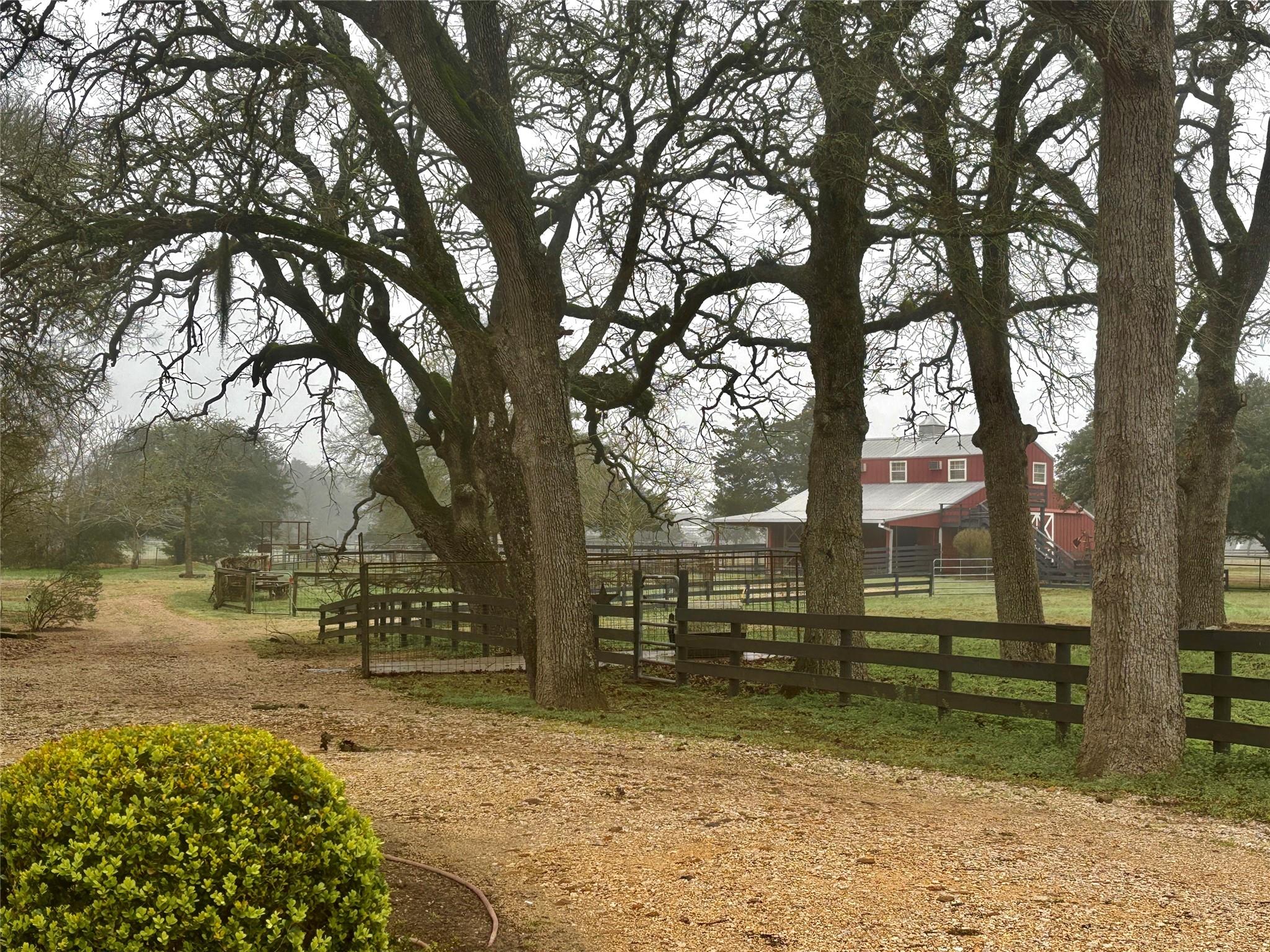 230 Hausmann Gin Property Photo 40