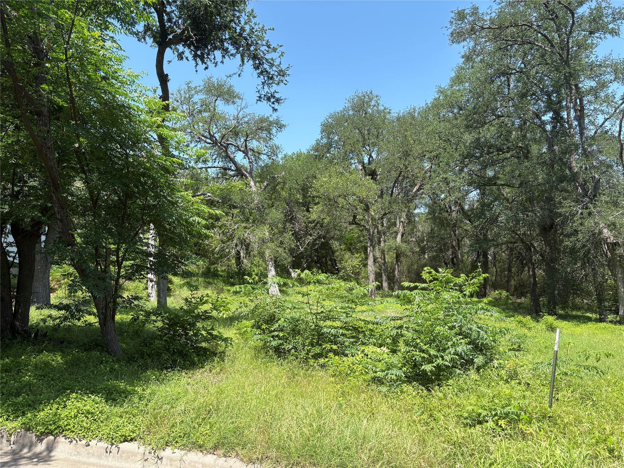 4640 Marlo Dr Property Photo 3