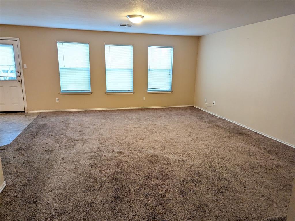 234 Holman Path Path Property Photo 4