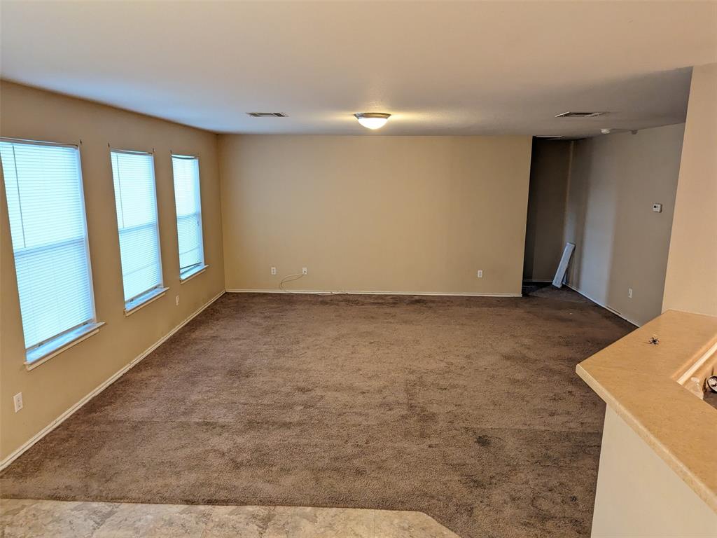 234 Holman Path Path Property Photo 5