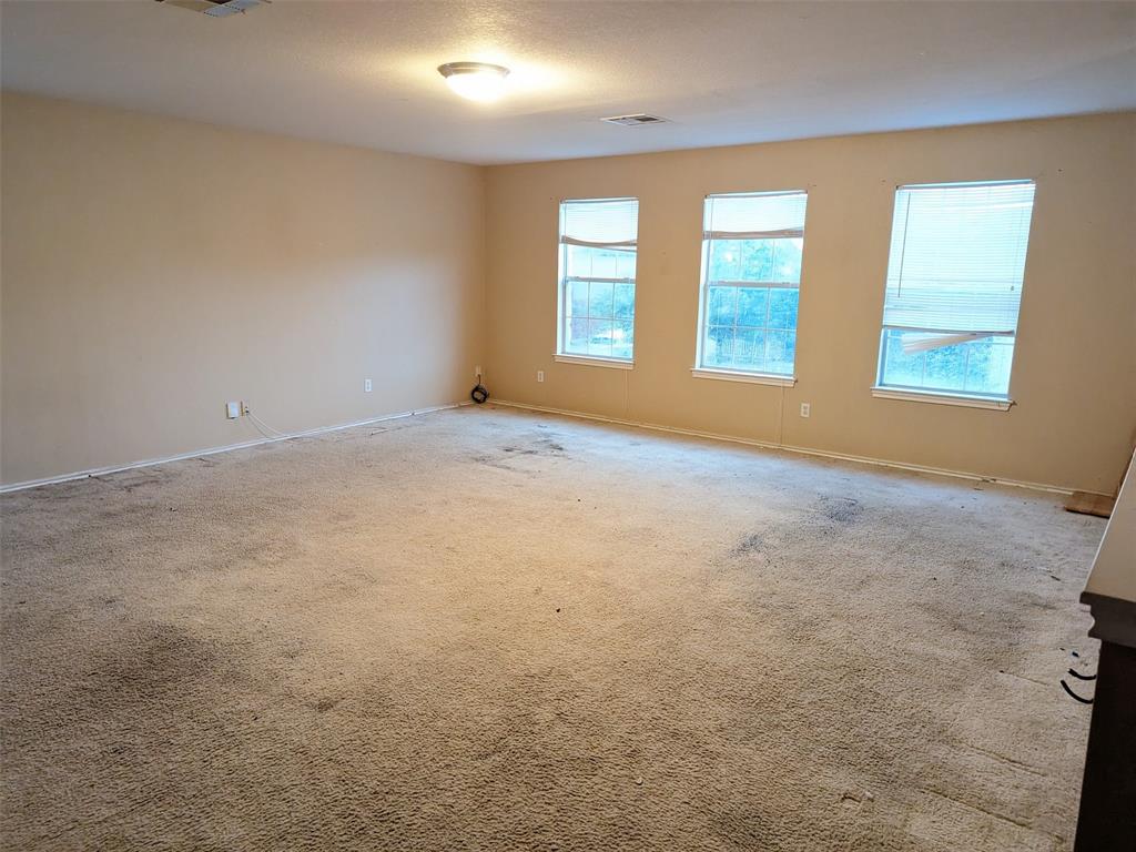 234 Holman Path Path Property Photo 10