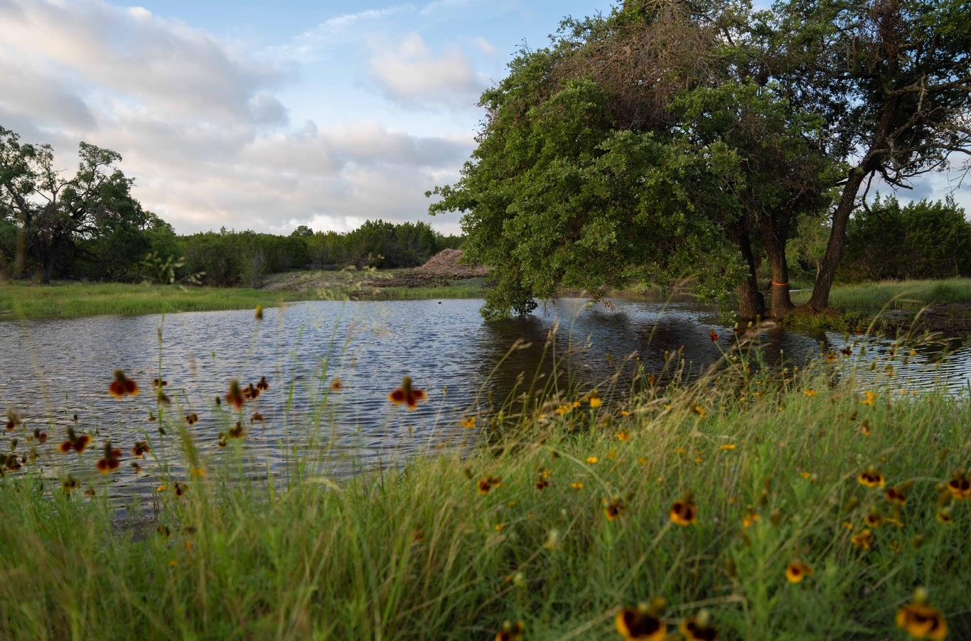 2078 W Ranch Road 962 Lot 28 Property Photo 4