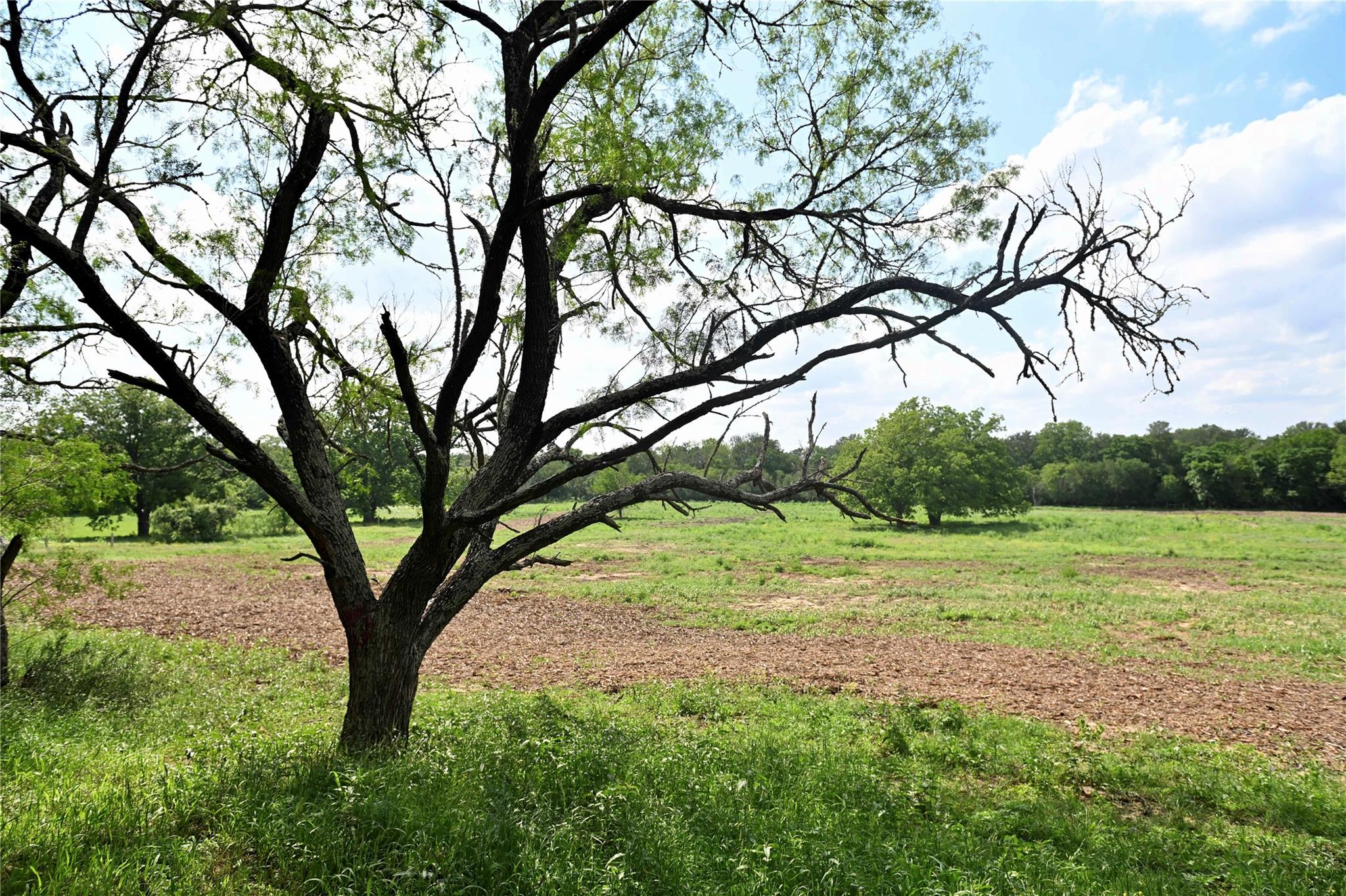 Lot 5 Valley Creek Dr Property Photo 1