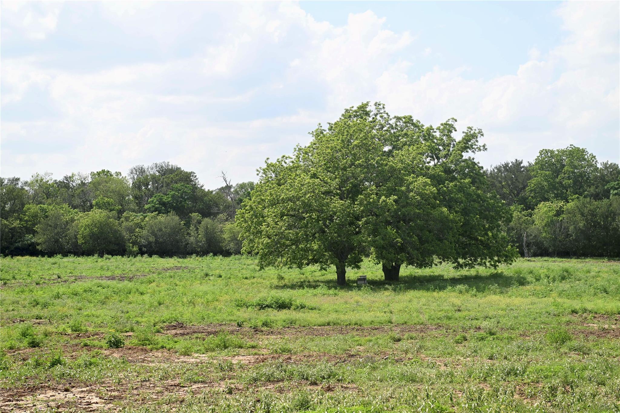 Lot 5 Valley Creek Dr Property Photo 2