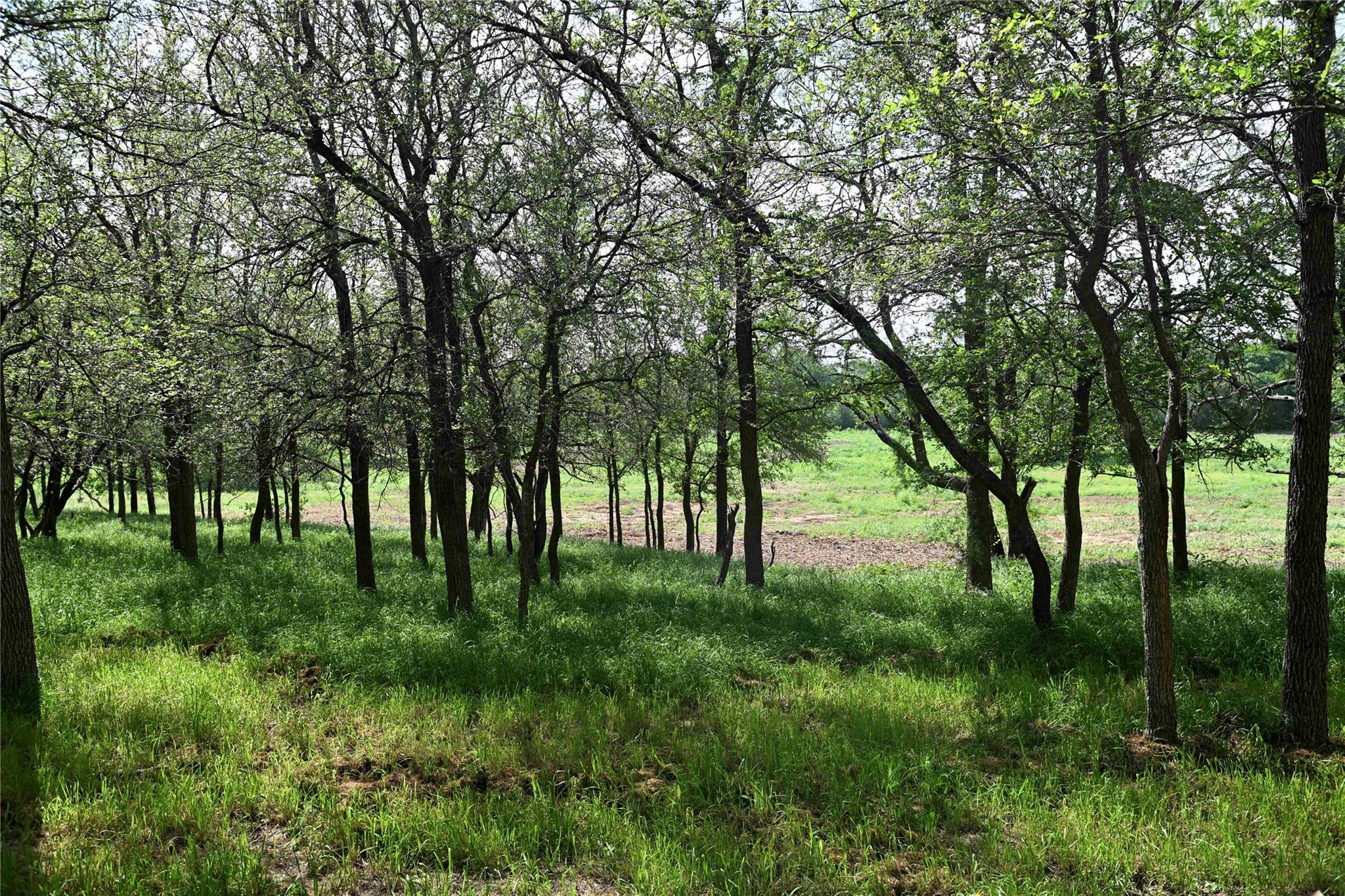 Lot 5 Valley Creek Dr Property Photo 10