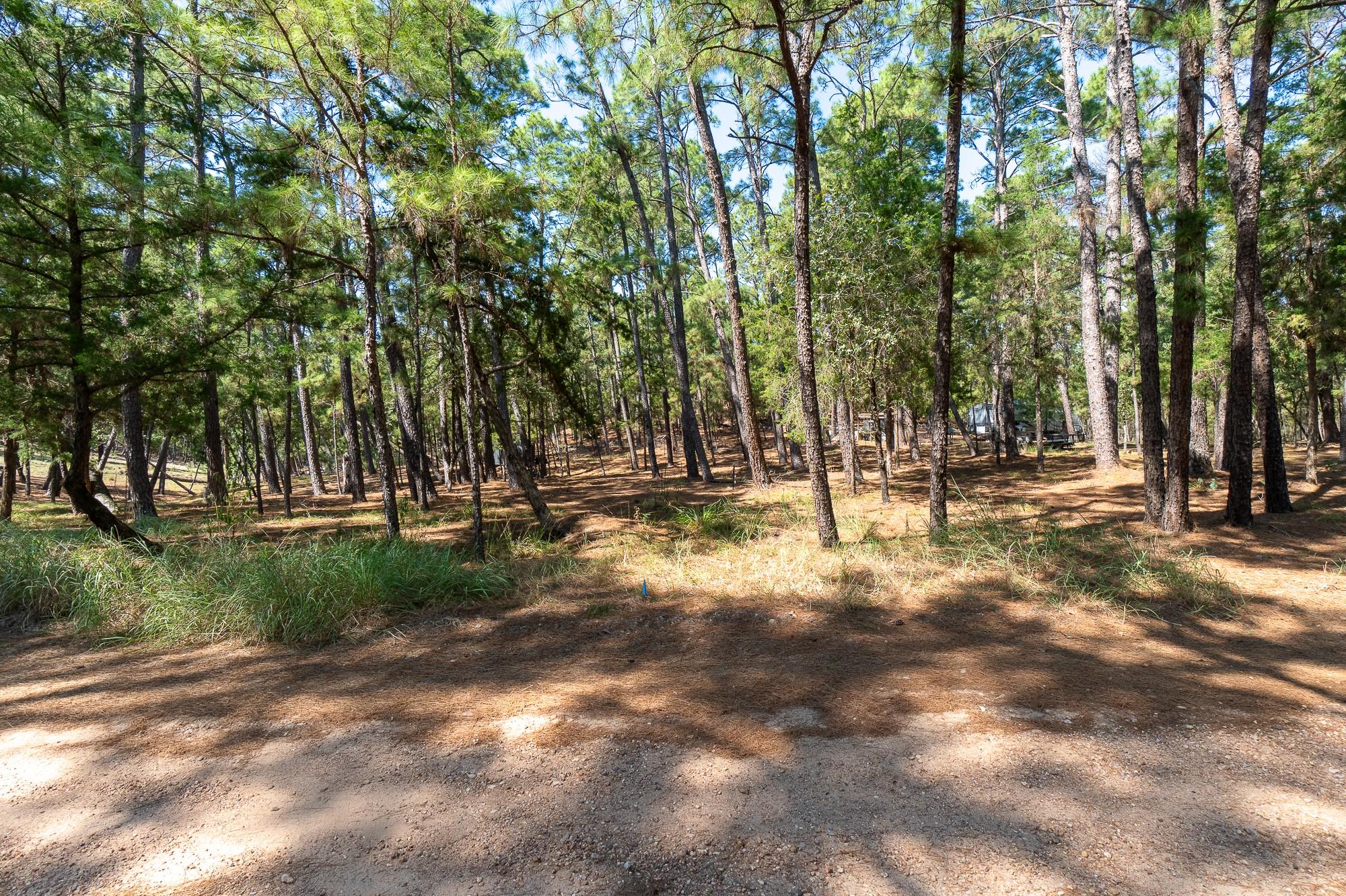 Tbd Red Fox Rd None Property Photo 6