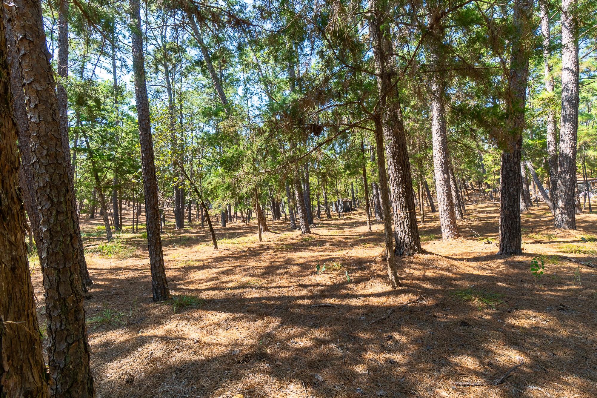 Tbd Red Fox Rd None Property Photo 7